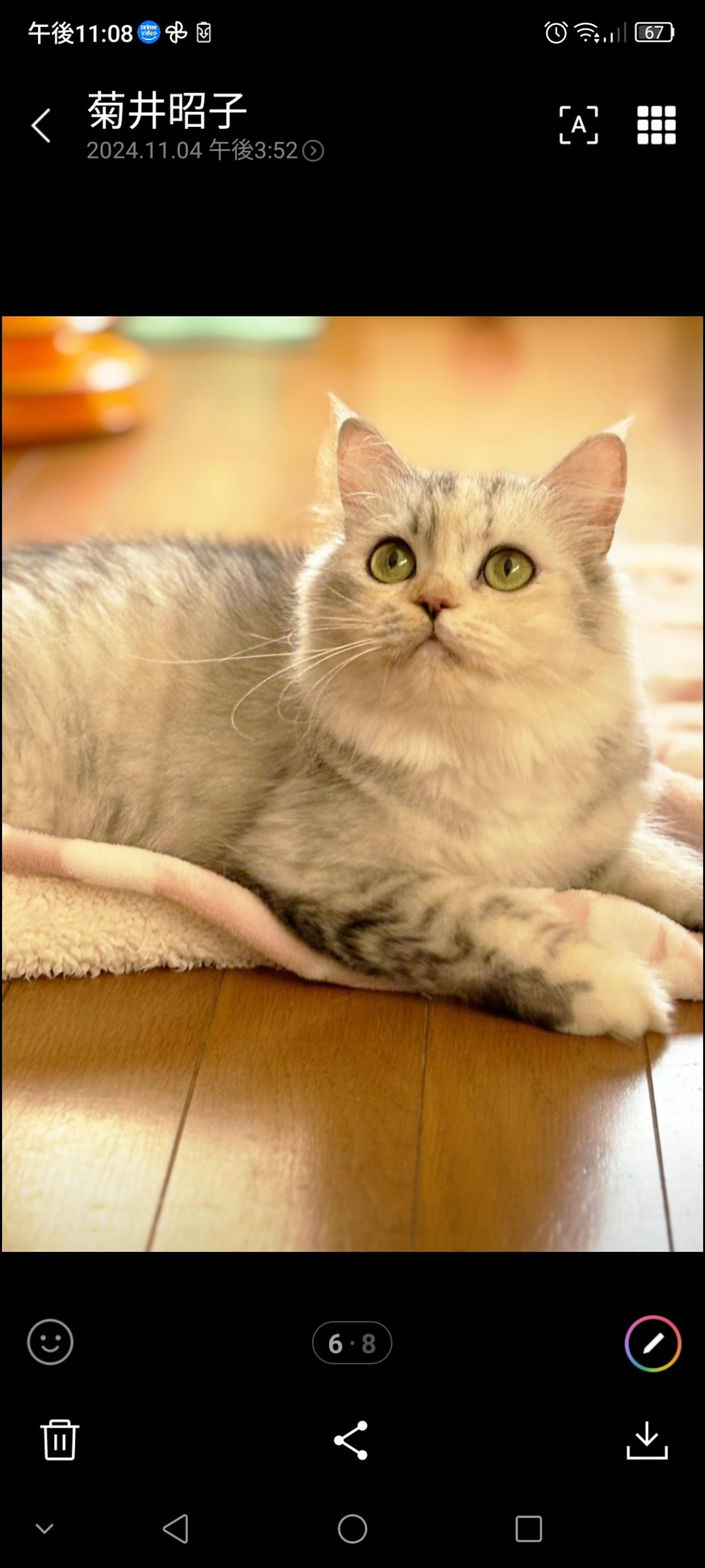 pet-image-5