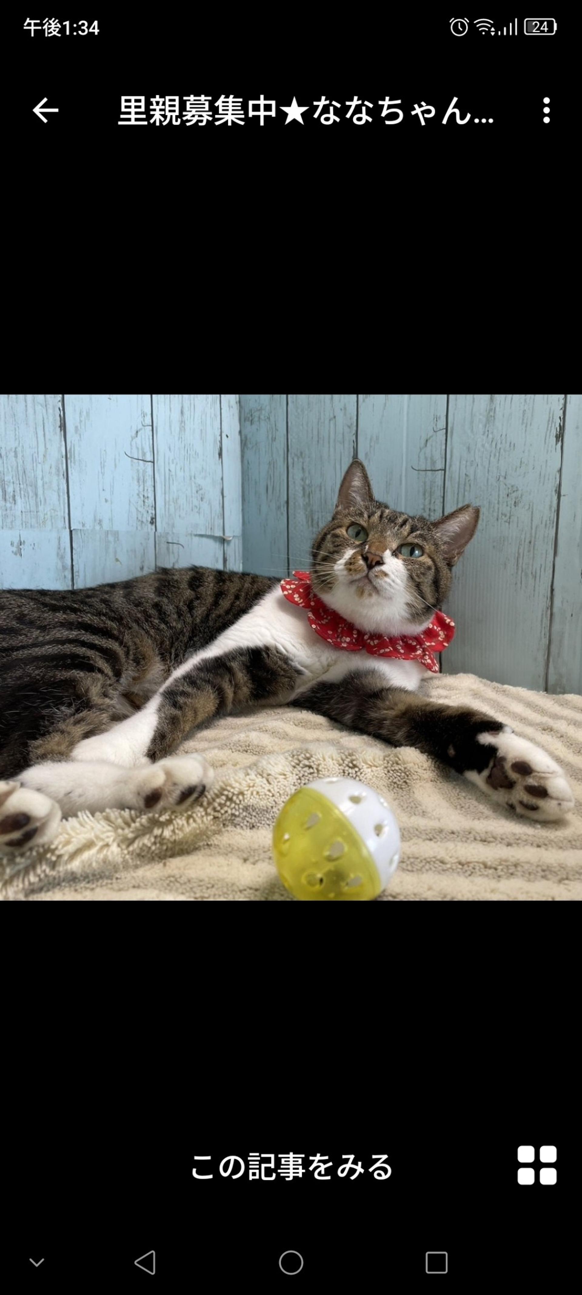 pet-image-2