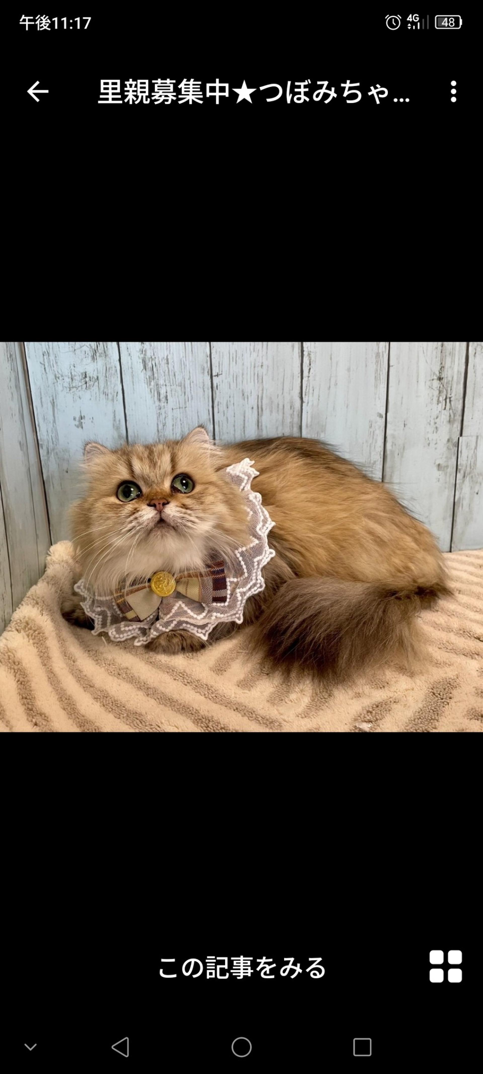 pet-image-2