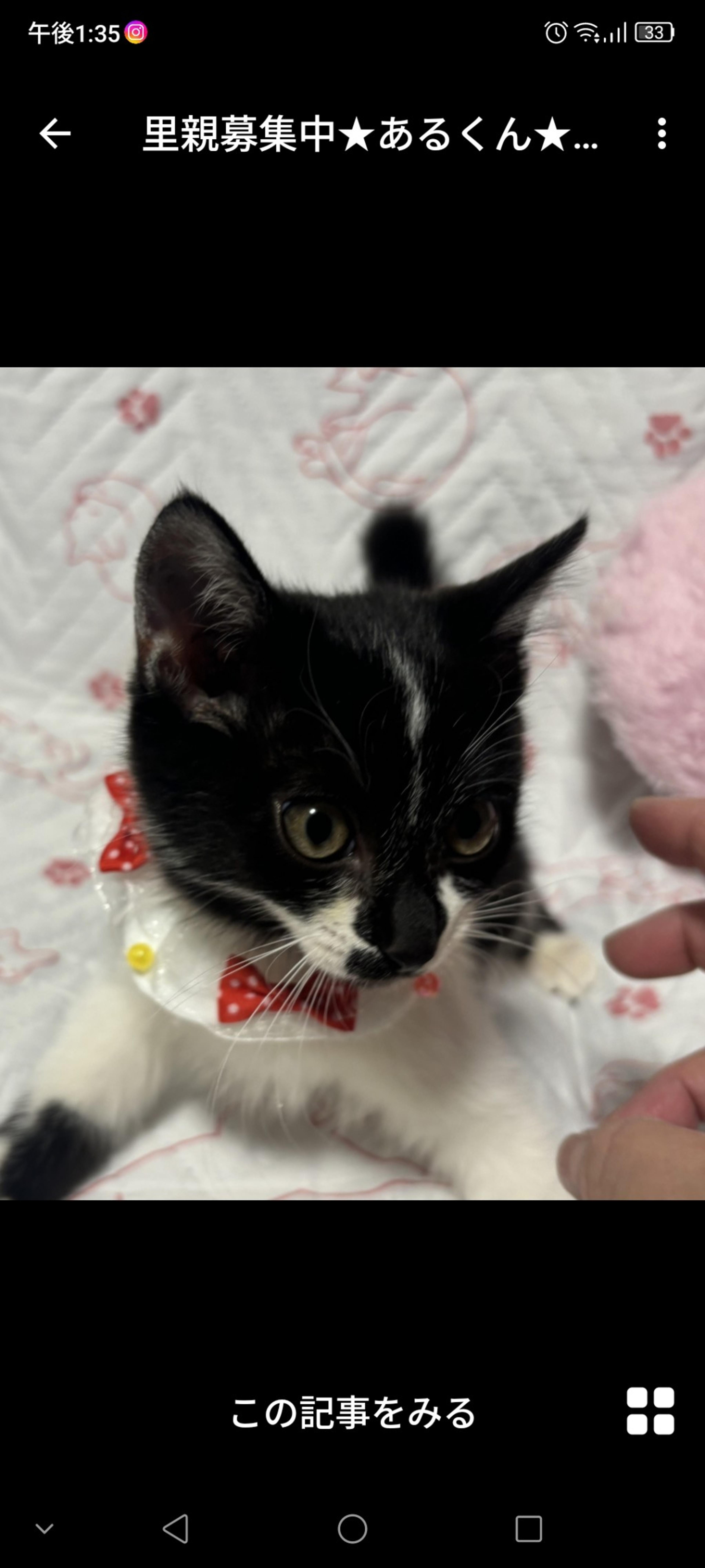 pet-image-2