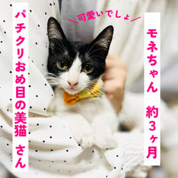thumb-1