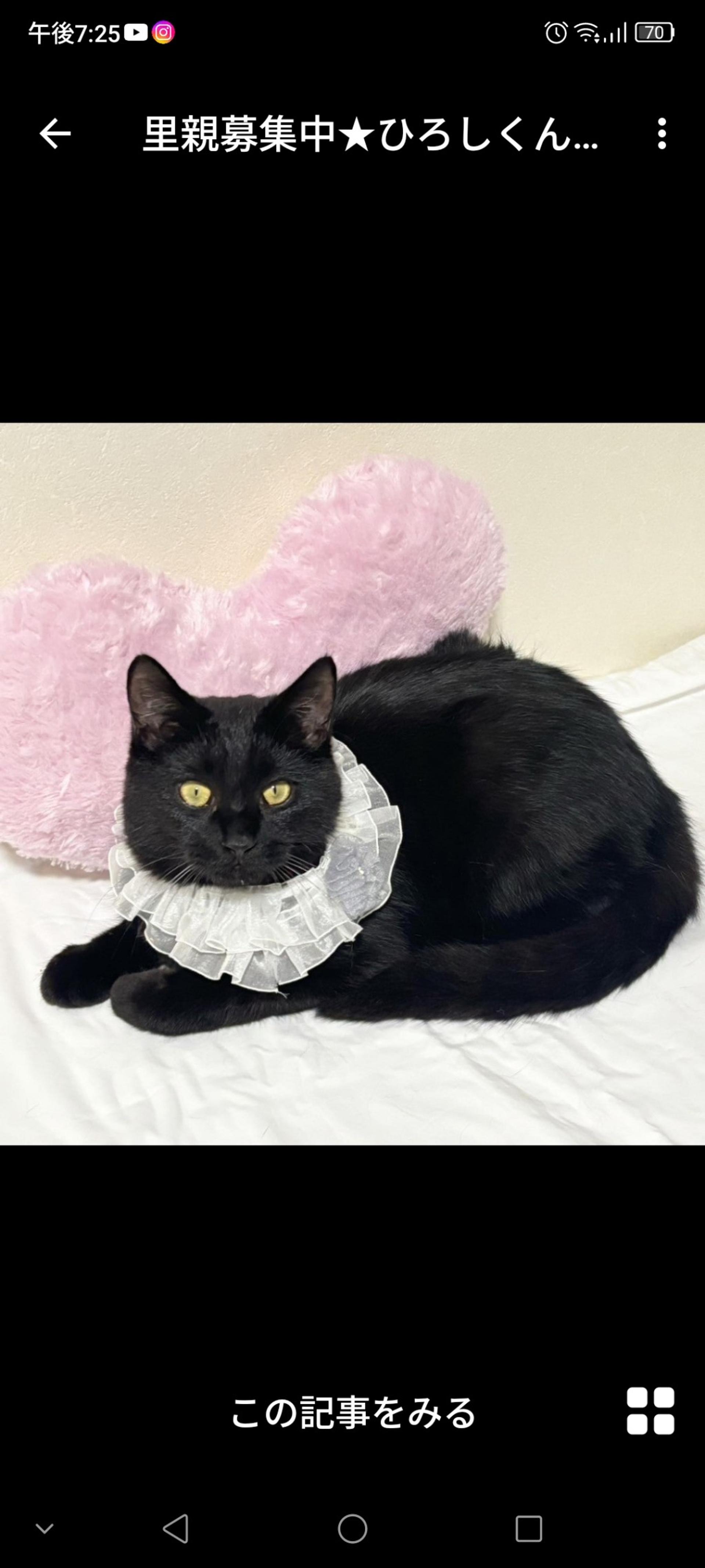 pet-image-2