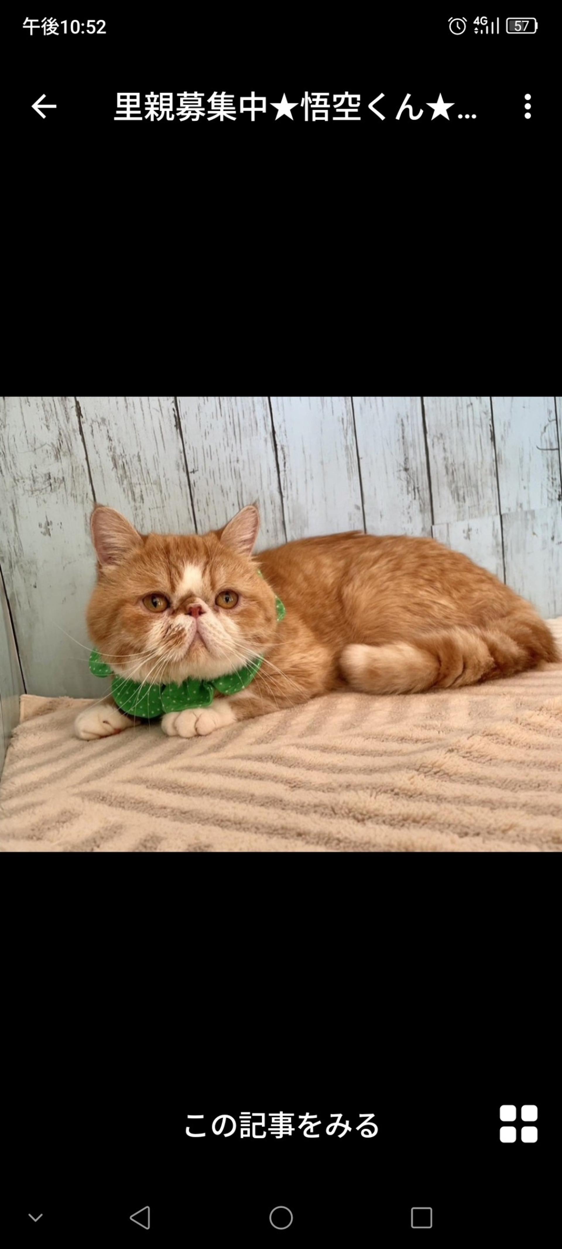 pet-image-3
