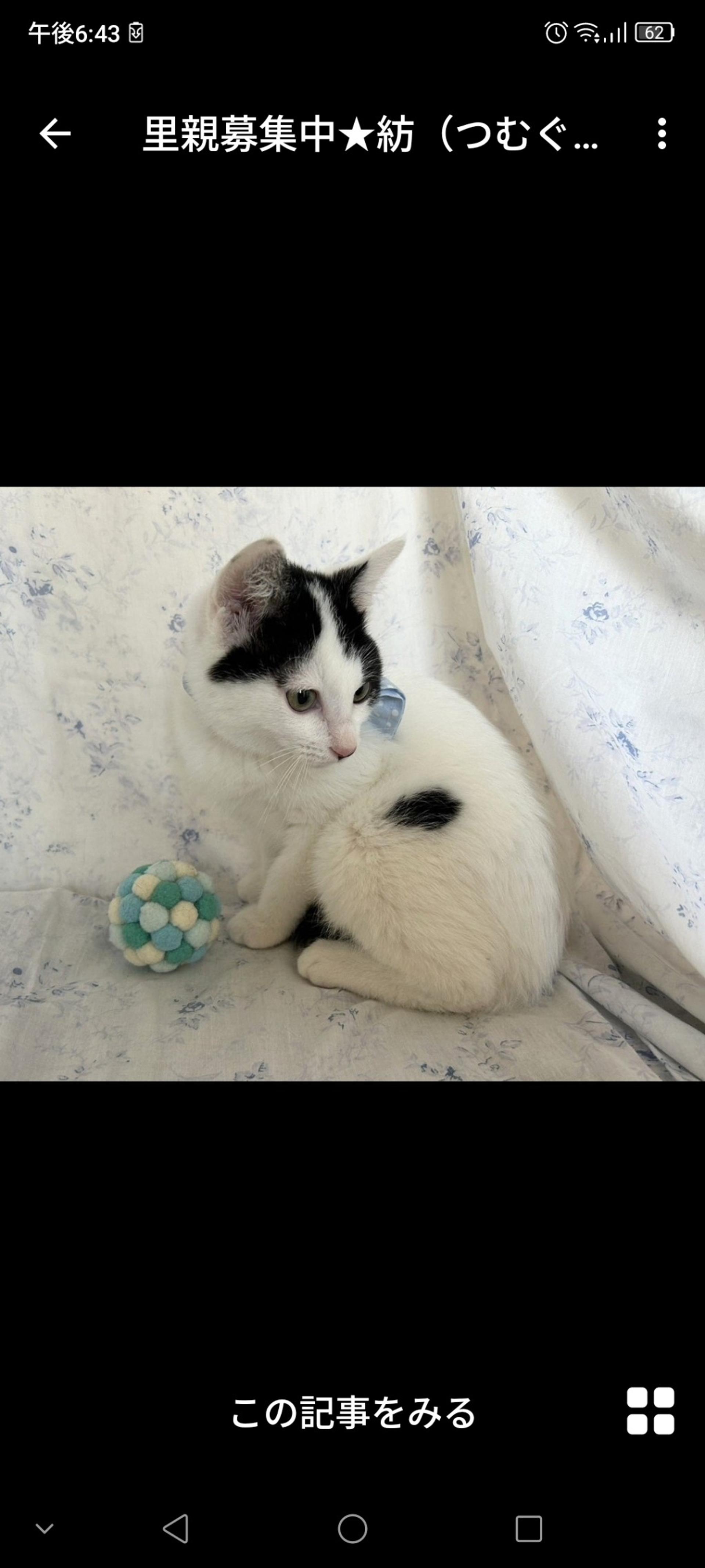 pet-image-3