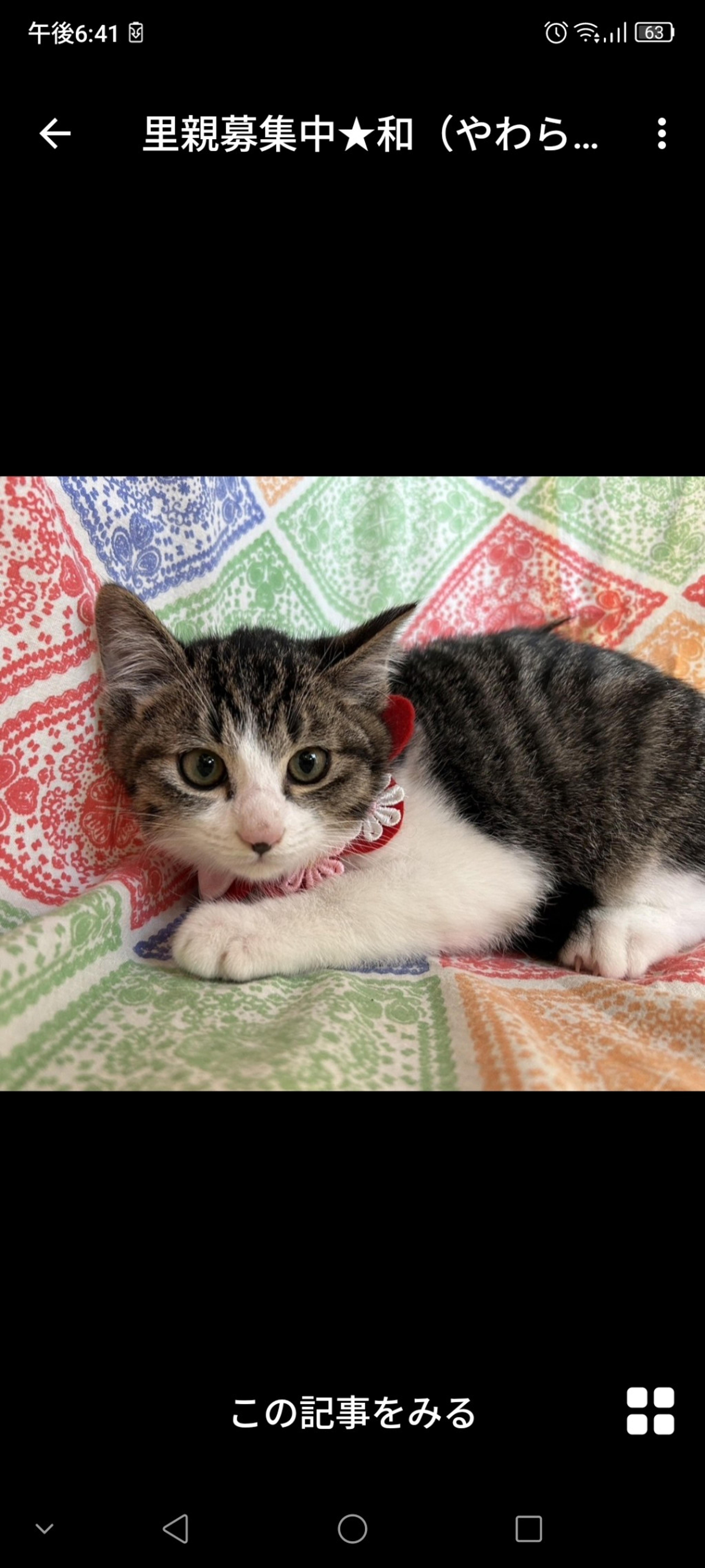 pet-image-2