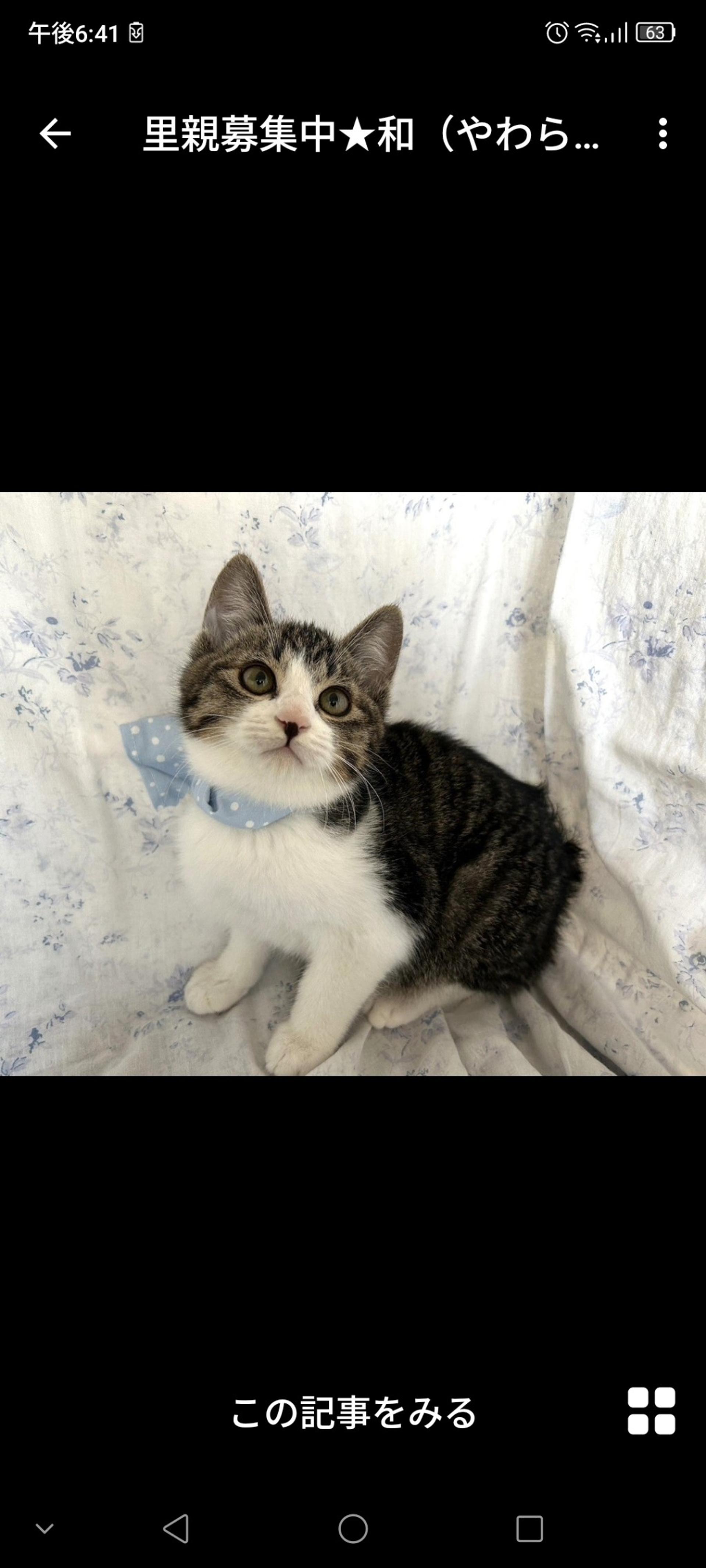 pet-image-3