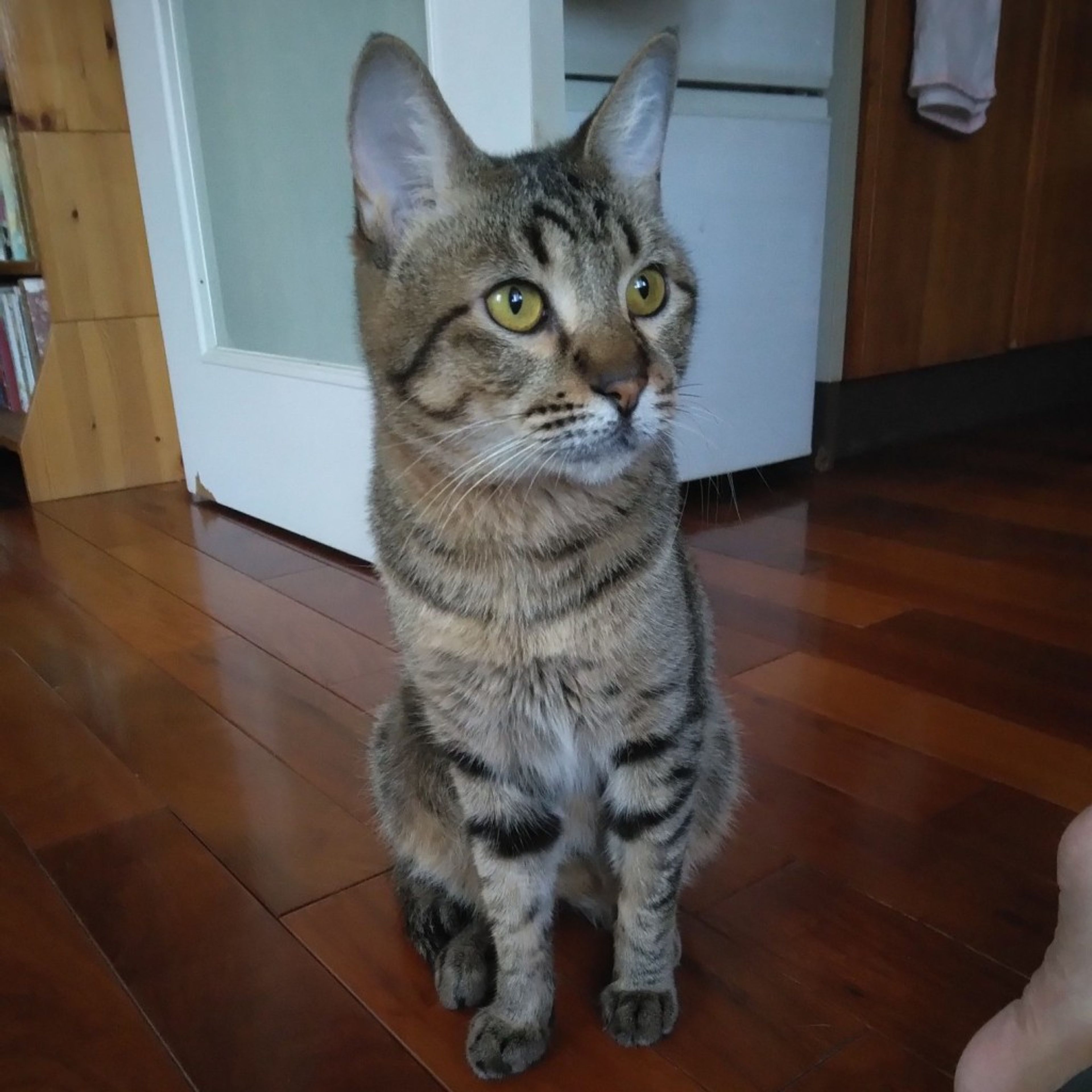 image-6