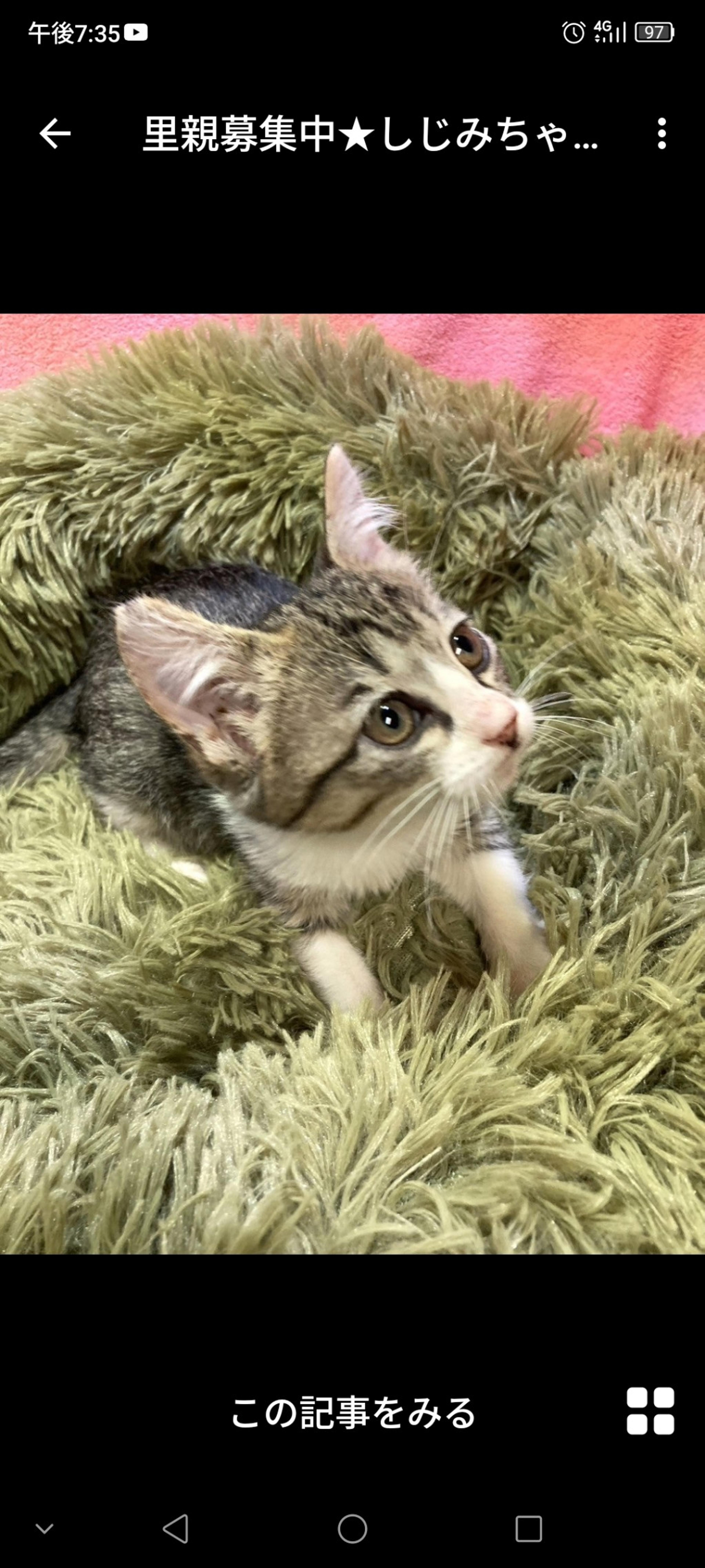 pet-image-2