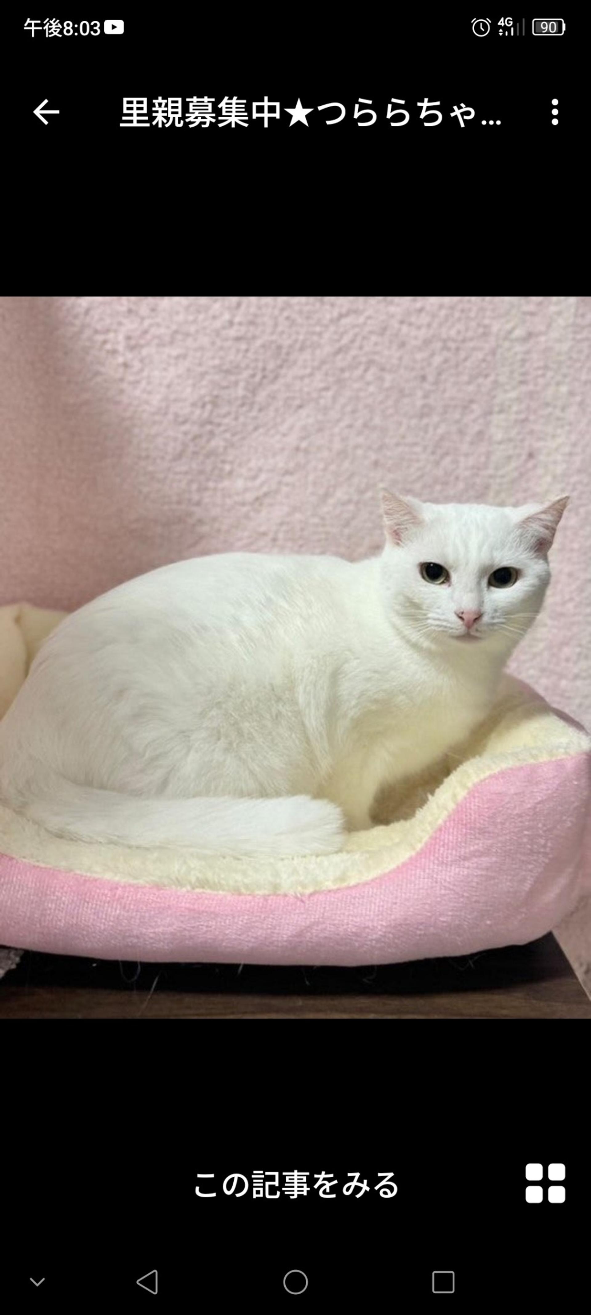 pet-image-3