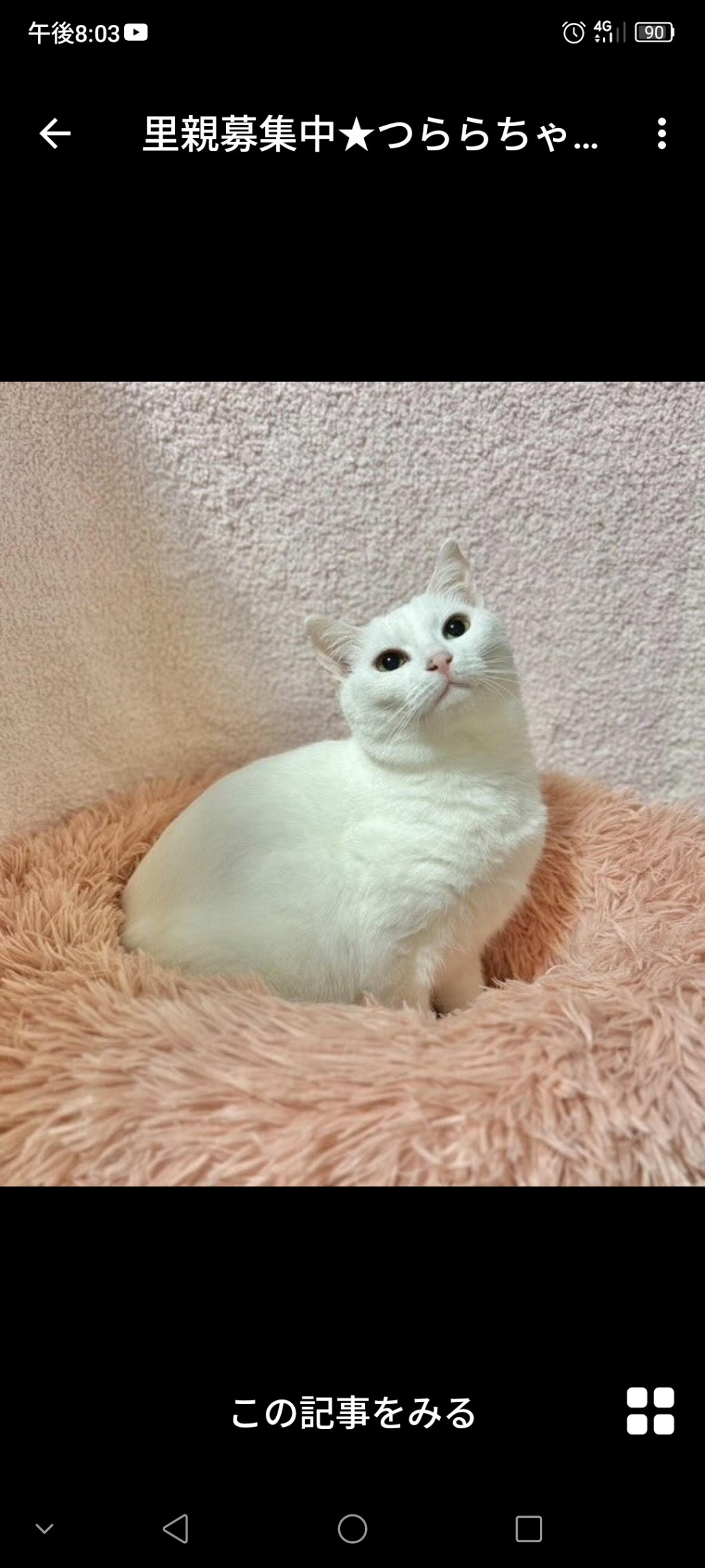 pet-image-2