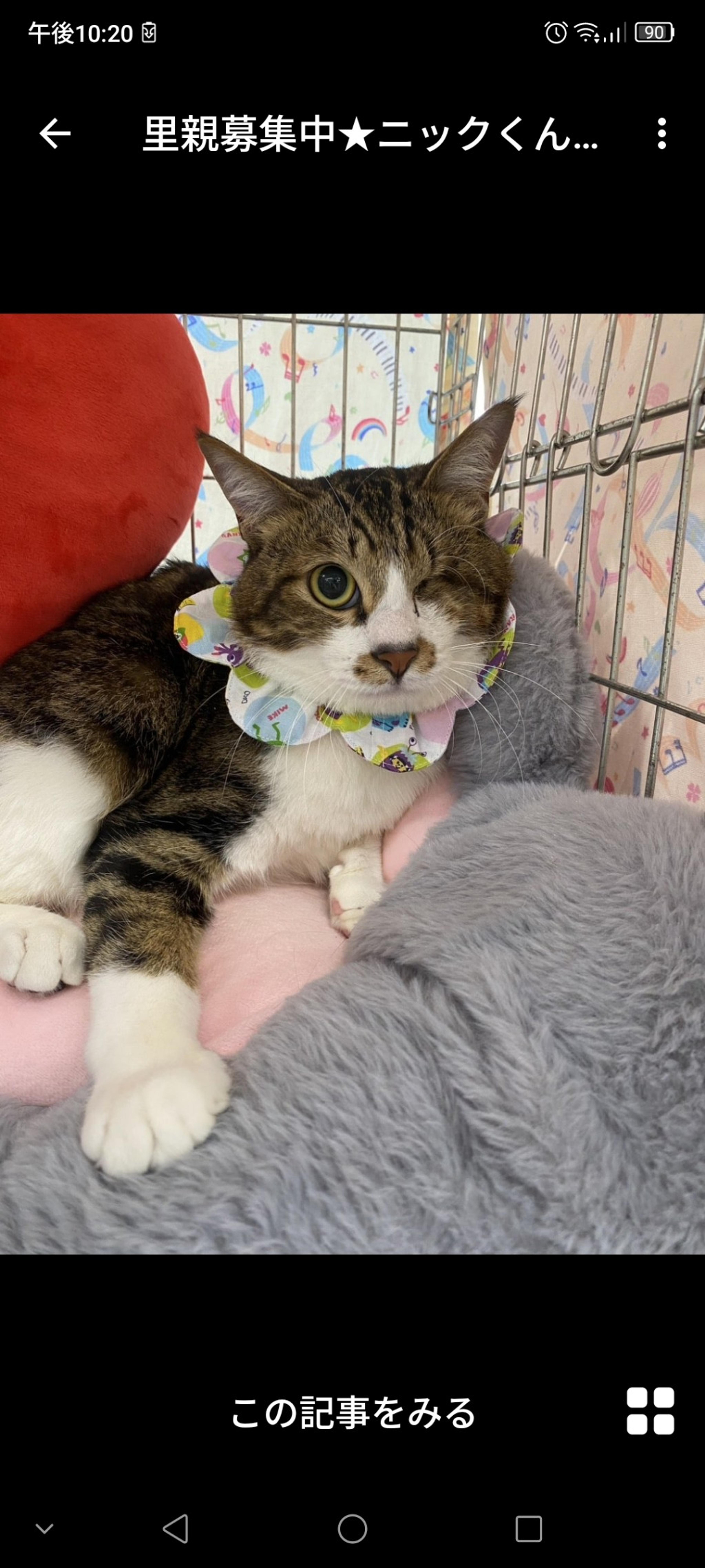 pet-image-2