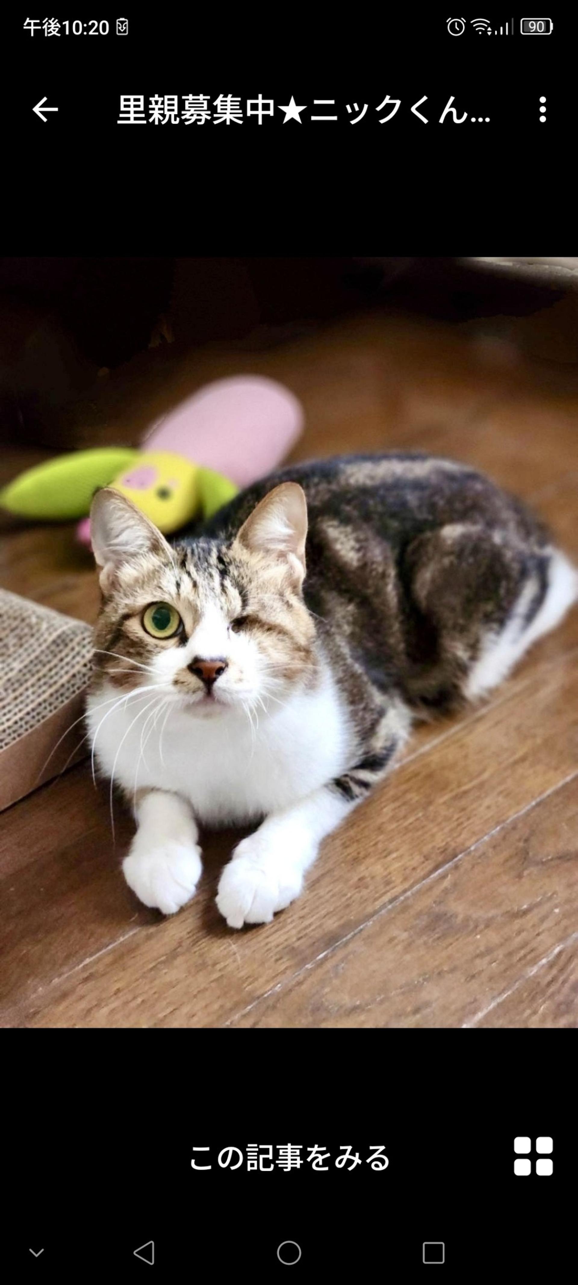 pet-image-3