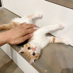 thumb-9