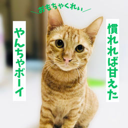 thumb-1