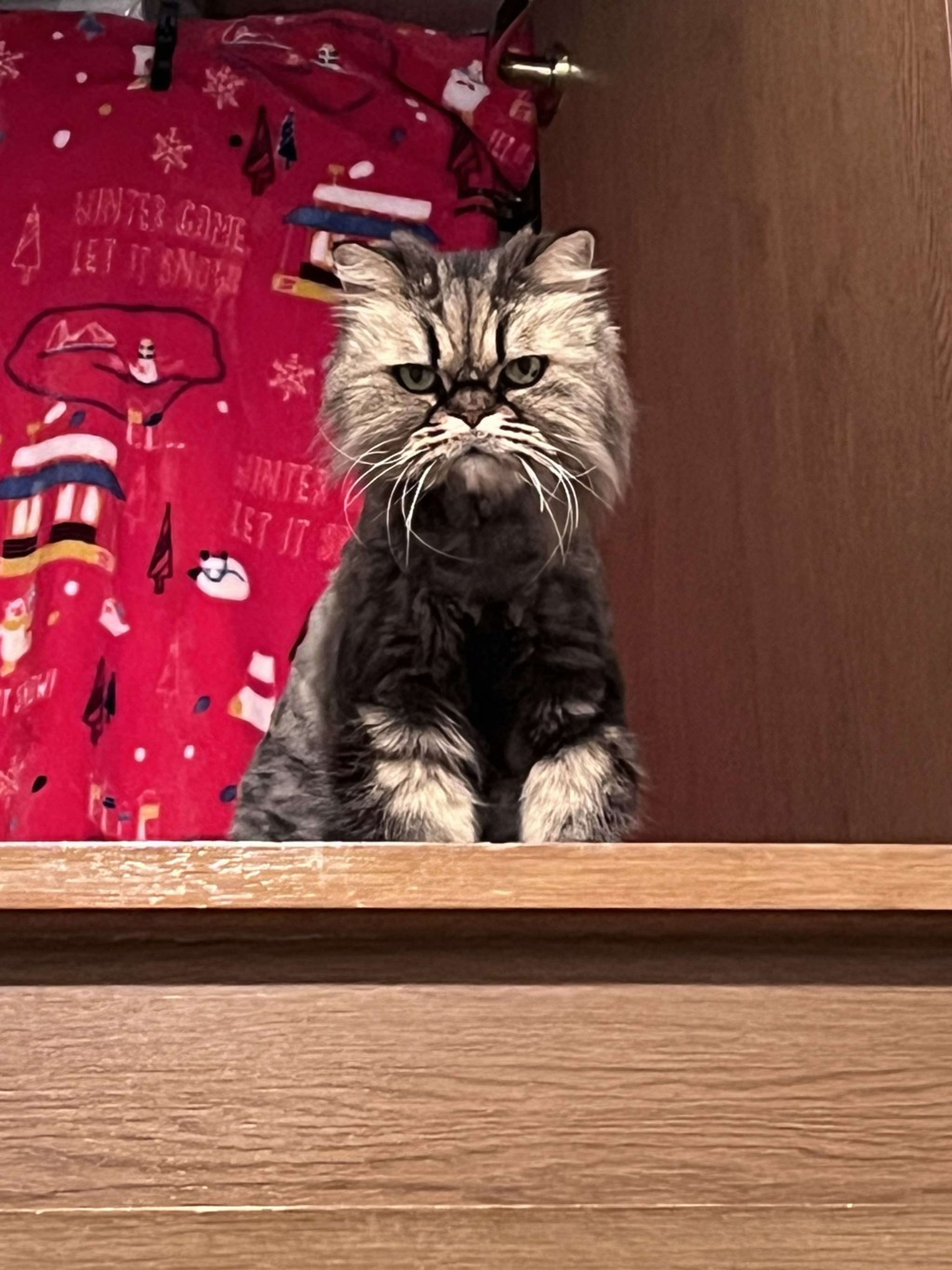 image-8