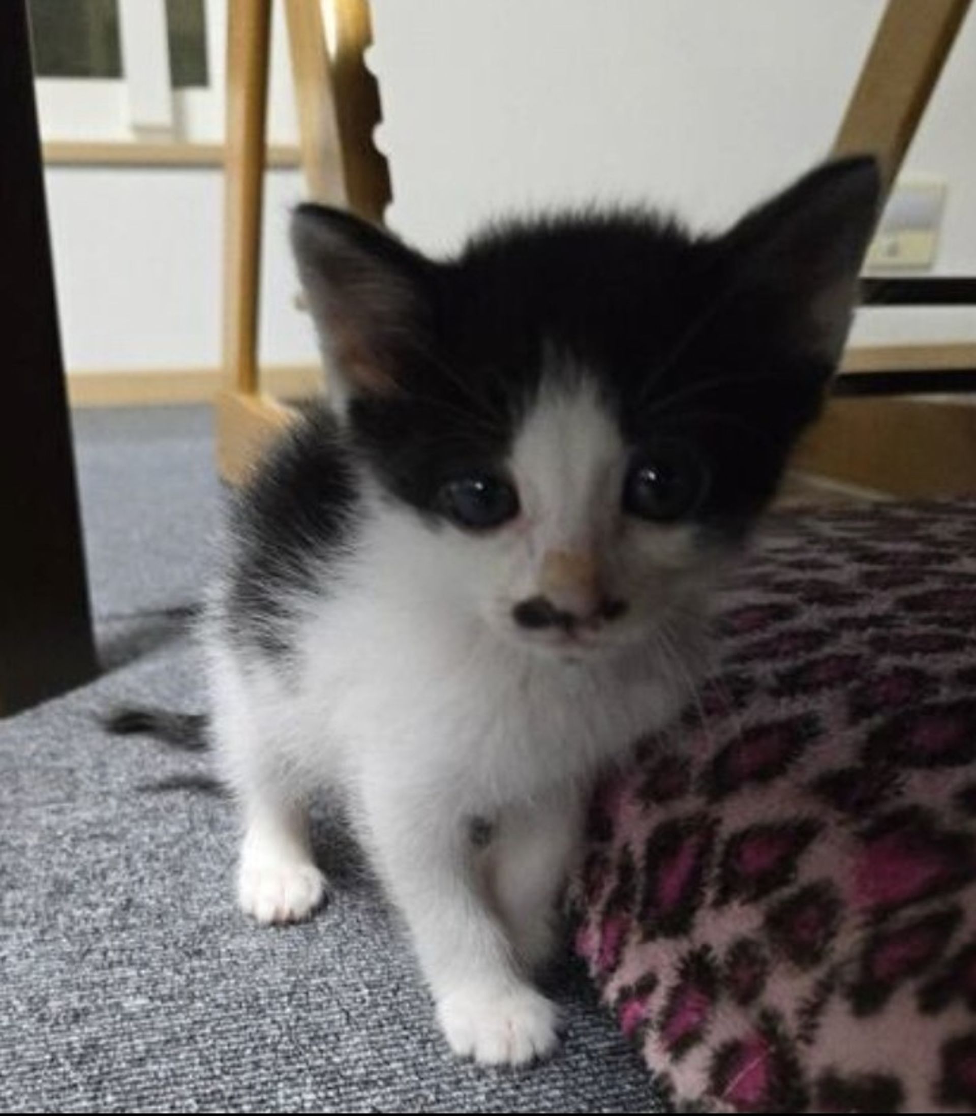 thumbnail-4