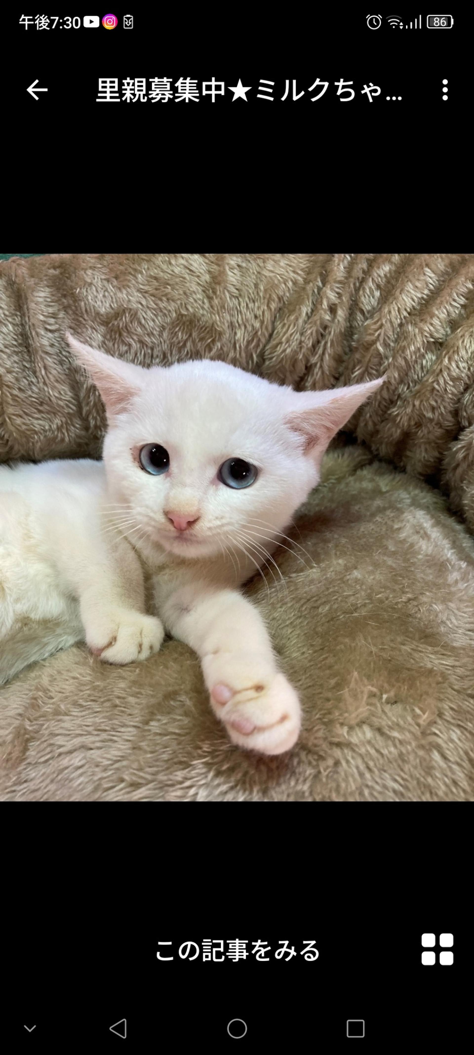 pet-image-2