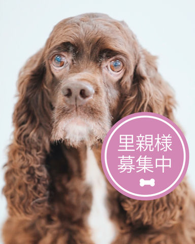 ファイヴの写真