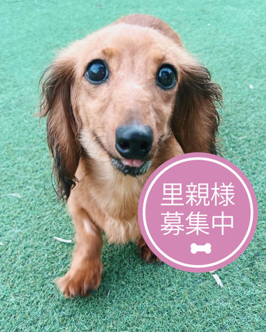 エイト