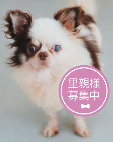 シックス