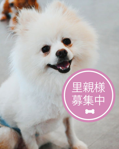 セブン