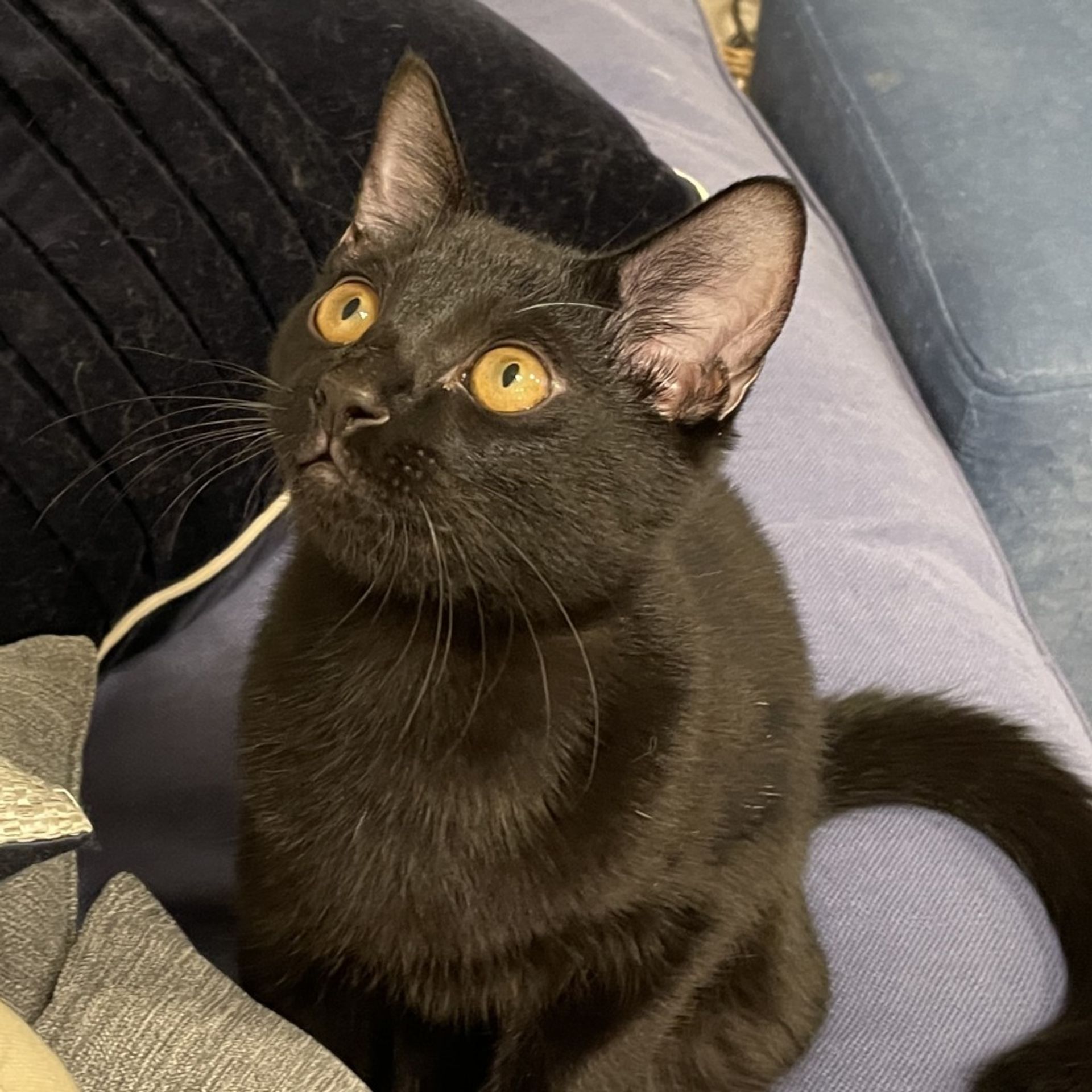 thumbnail-4