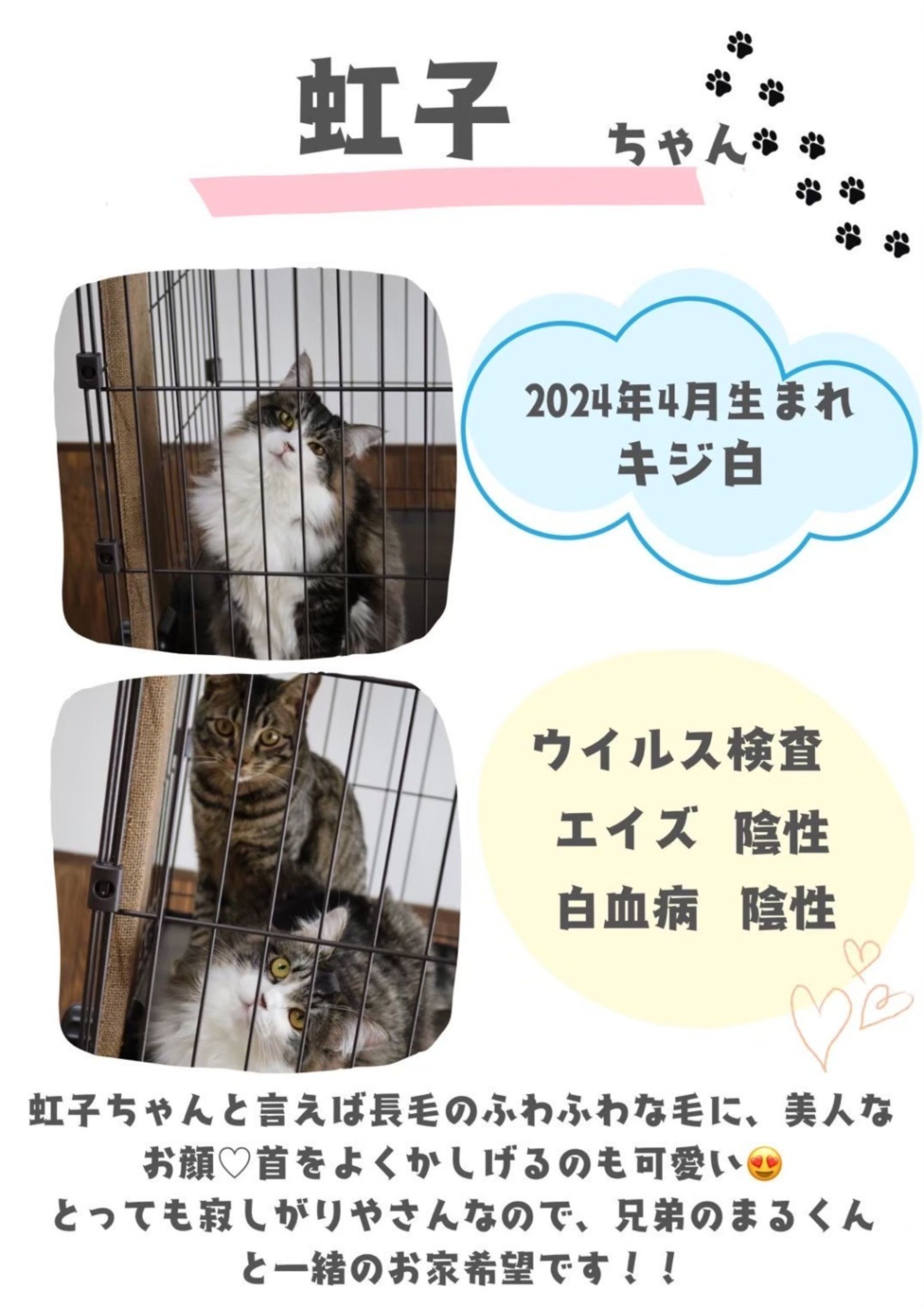 thumbnail-6