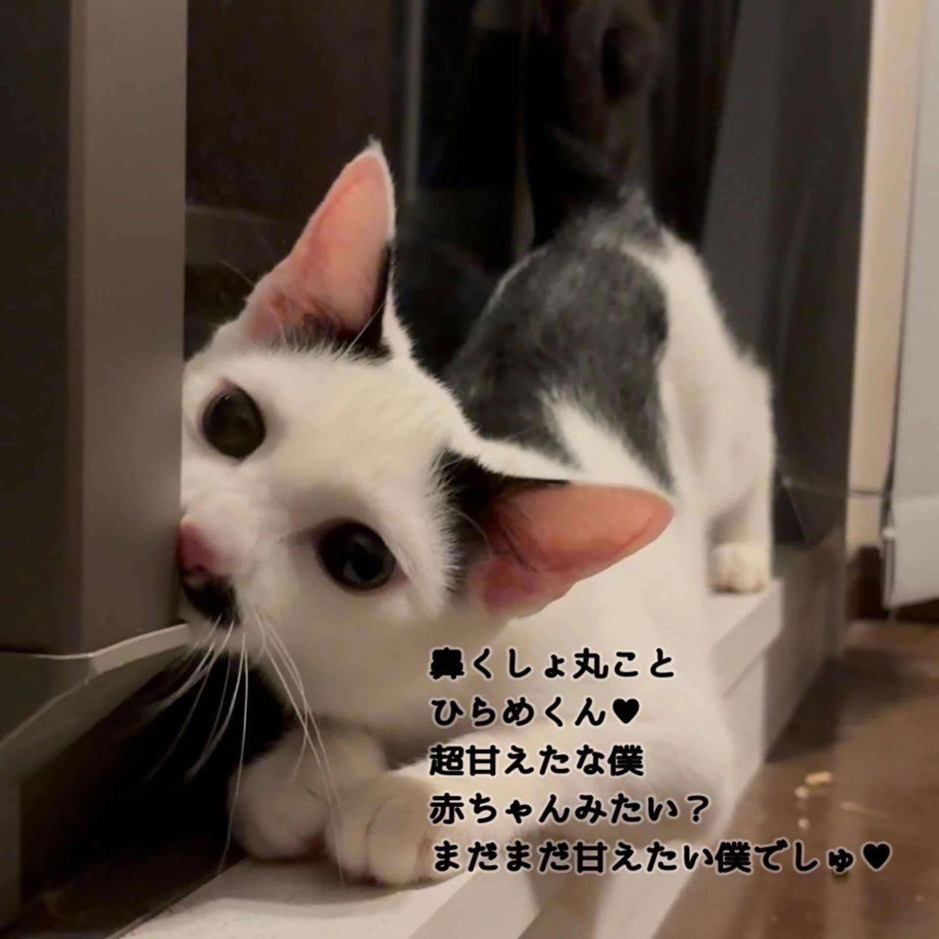 thumbnail-5