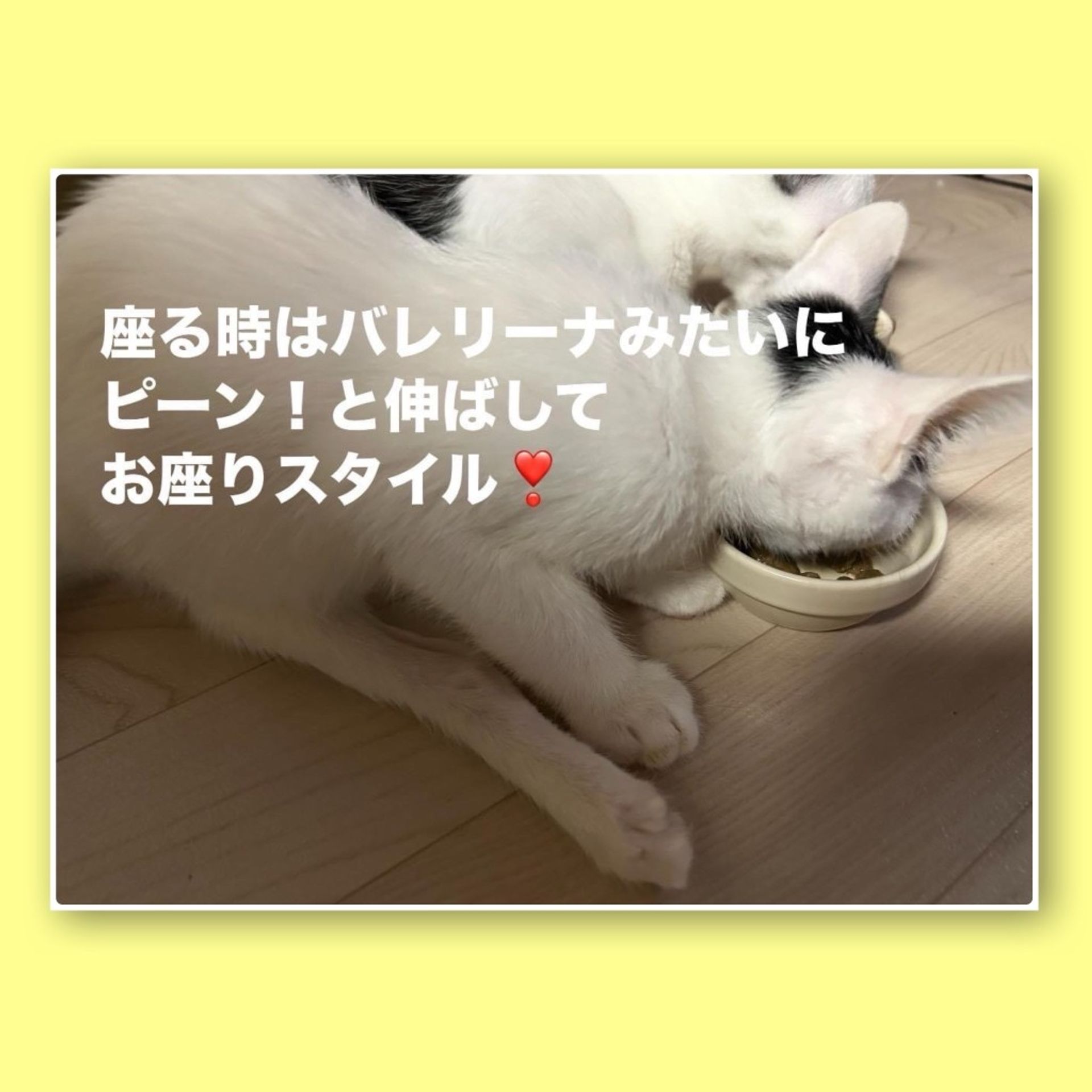 thumbnail-7