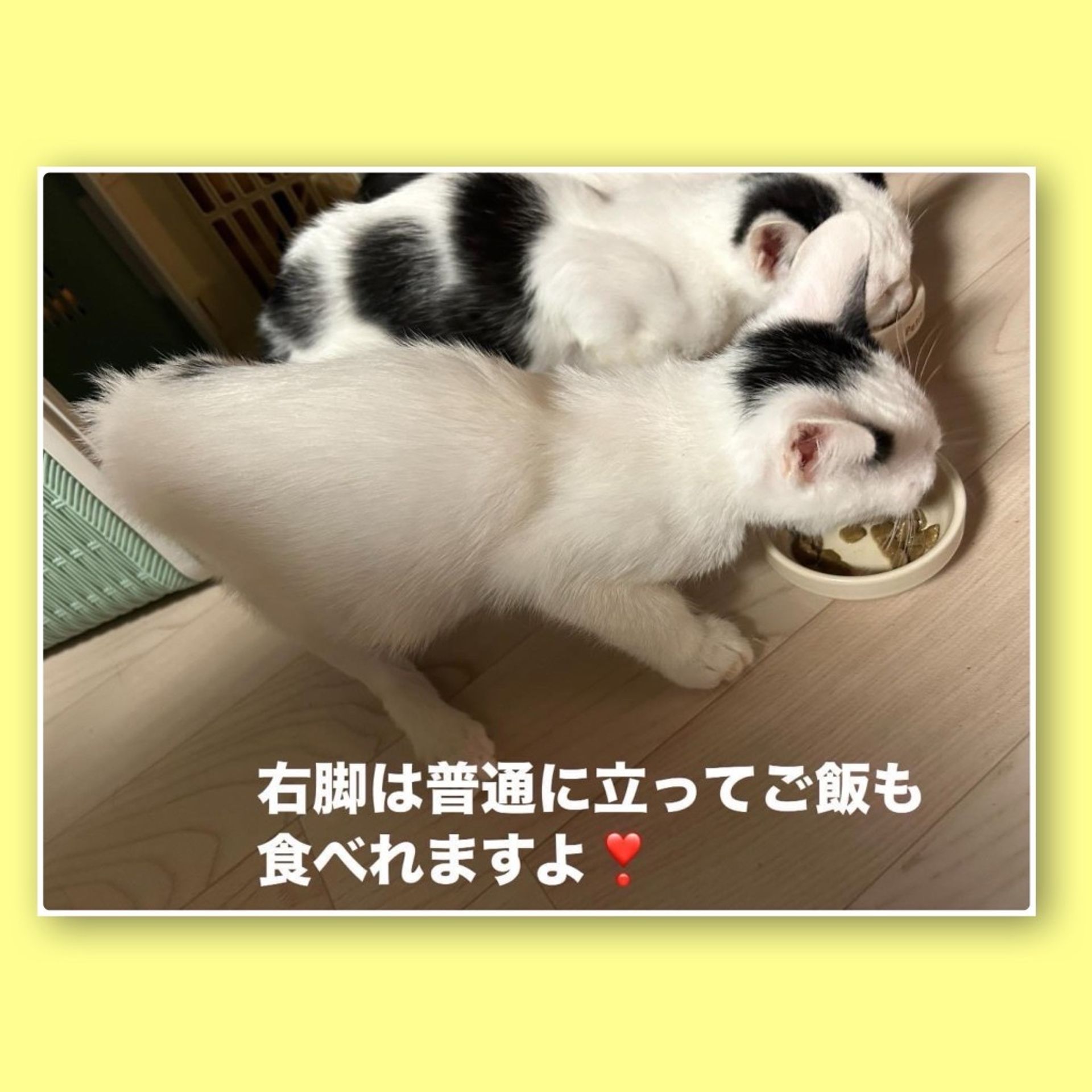 thumbnail-8