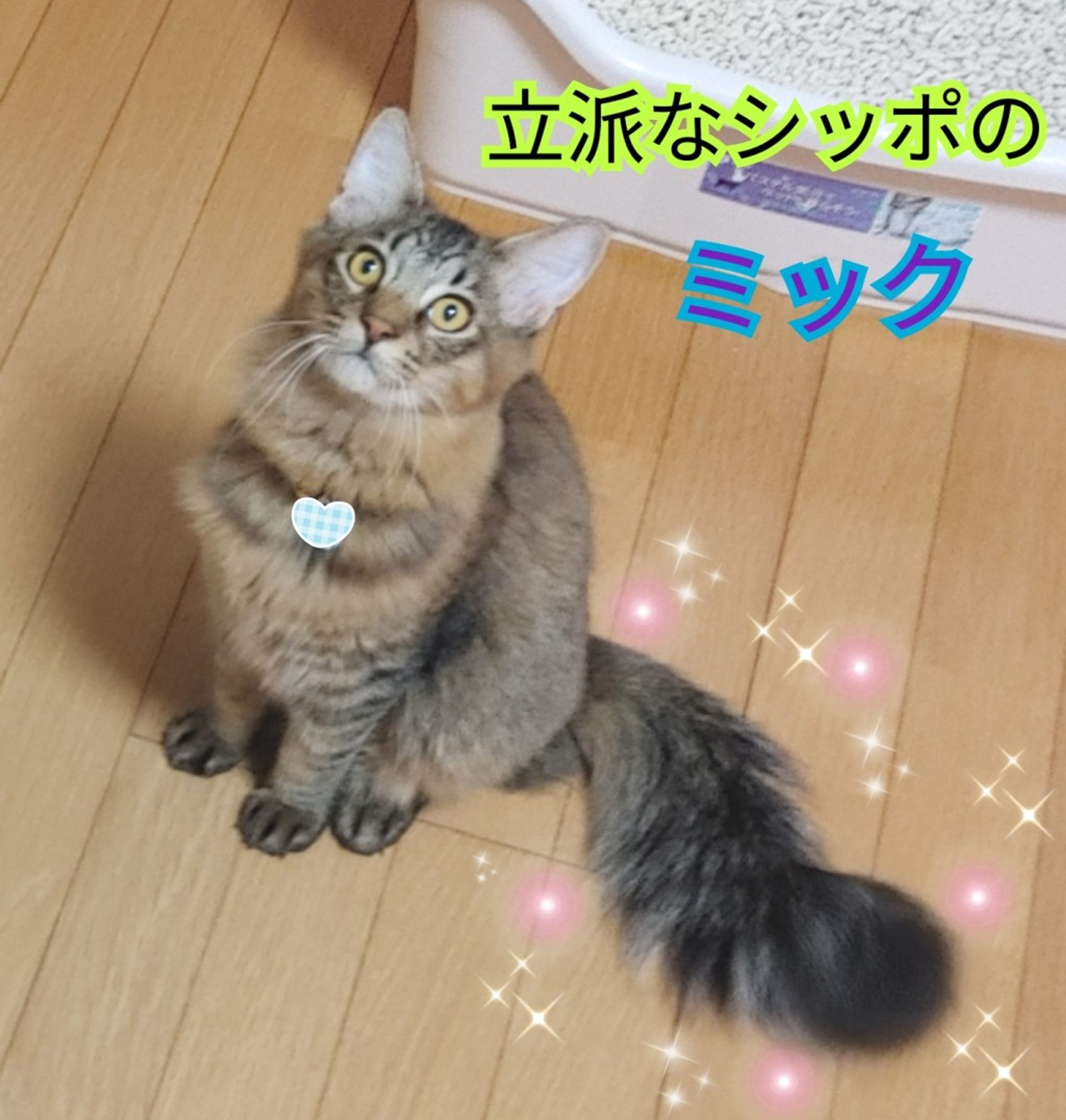 thumbnail-3