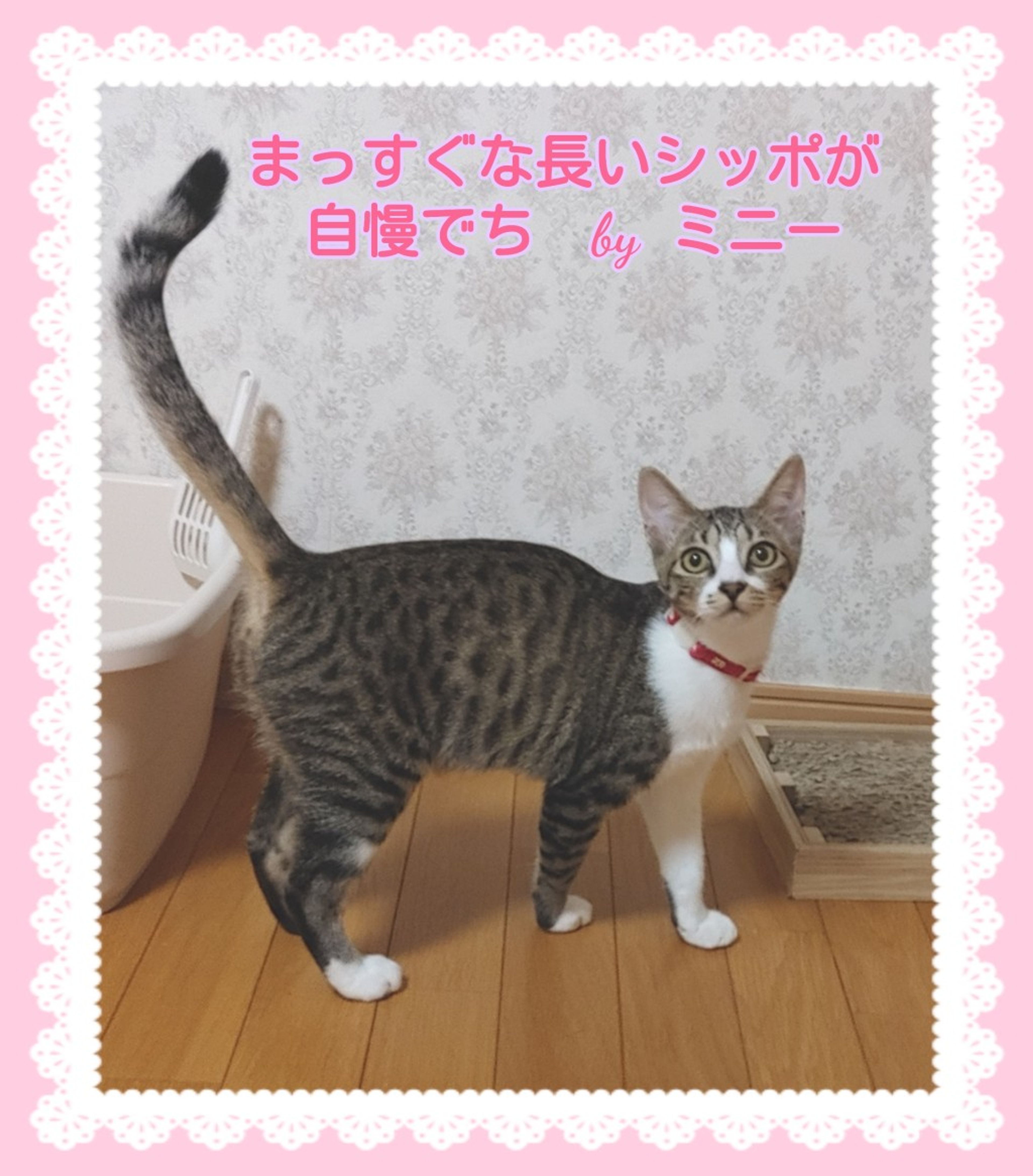 image-5