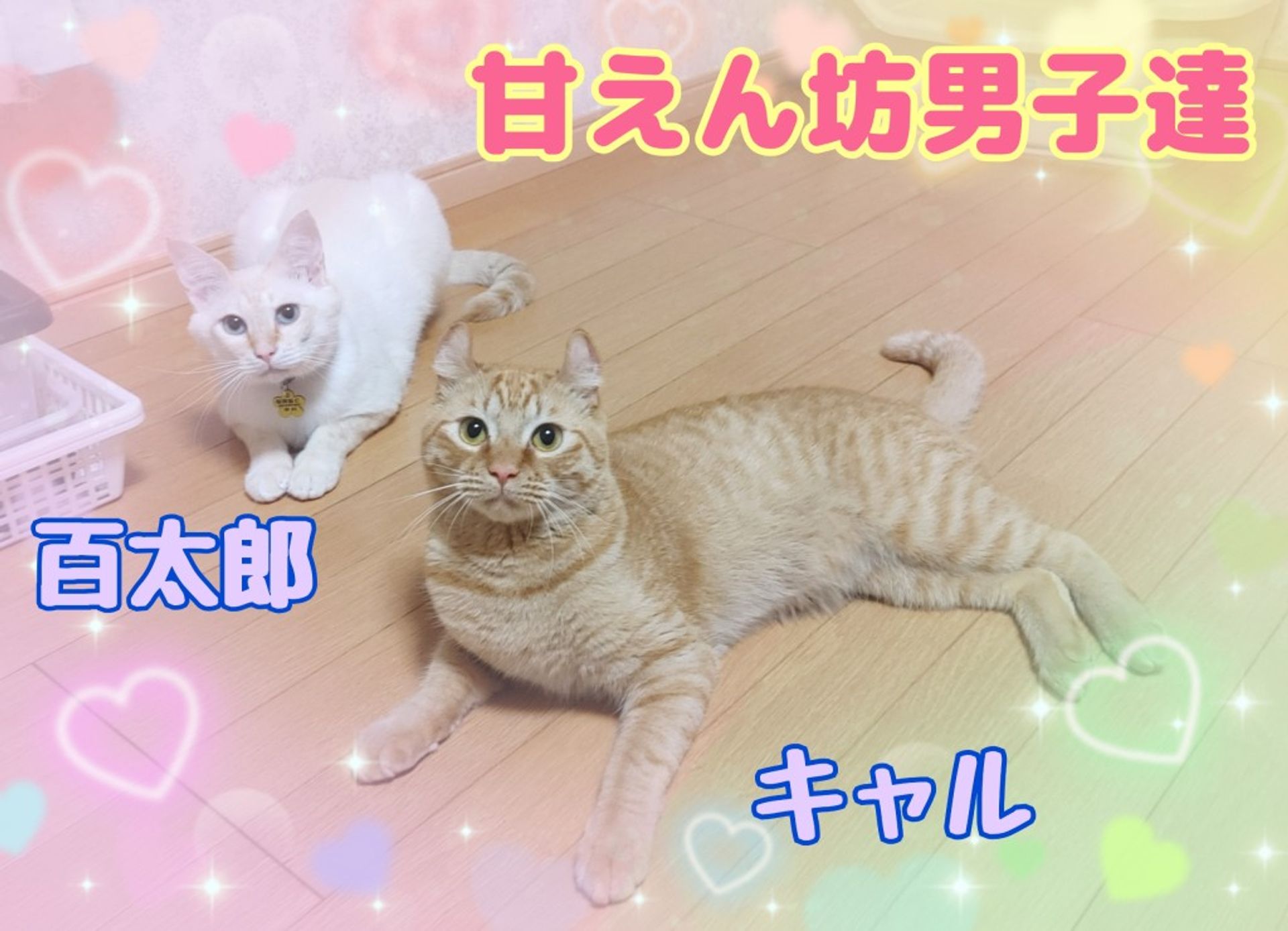 thumbnail-10