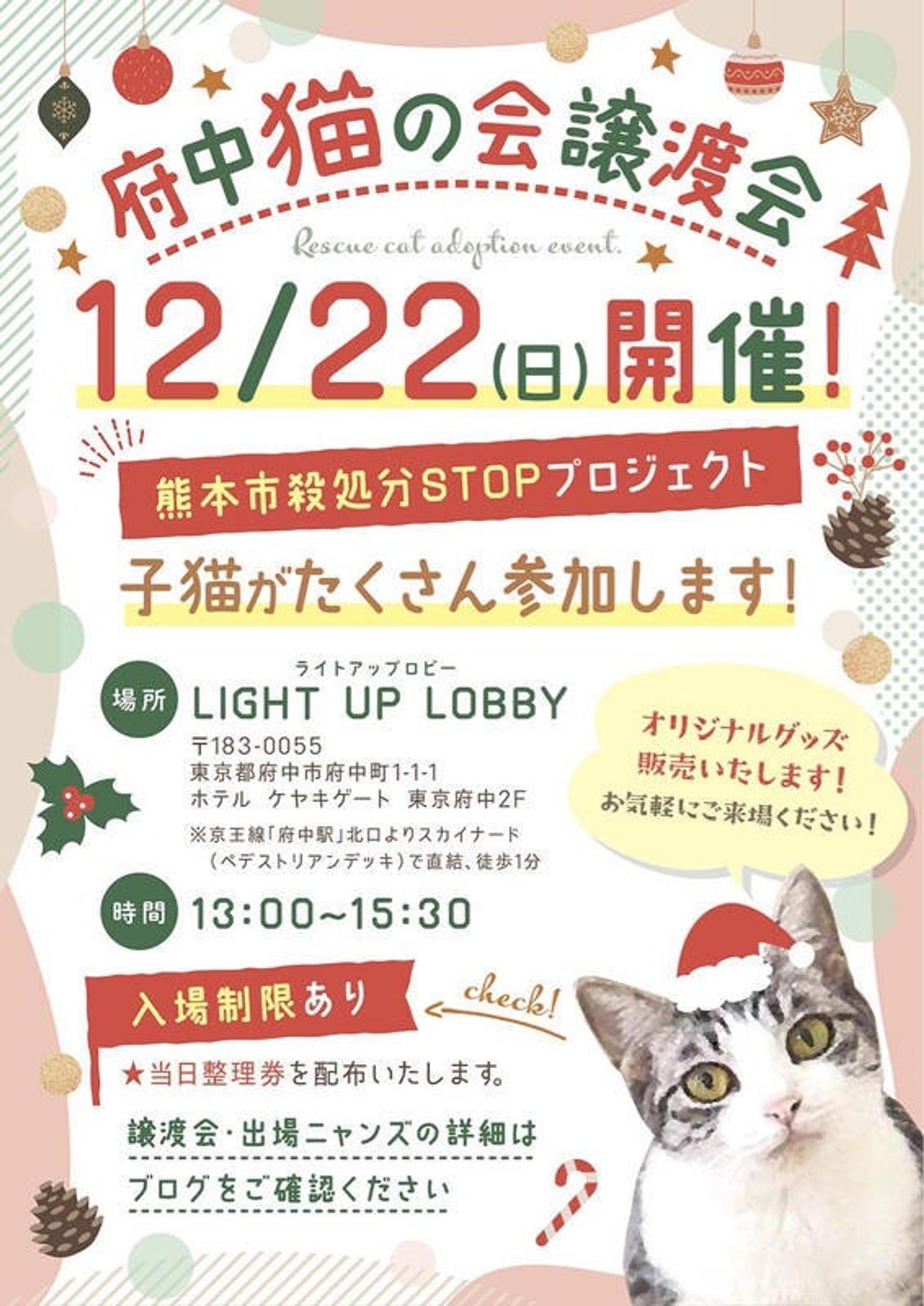 pet-image-6
