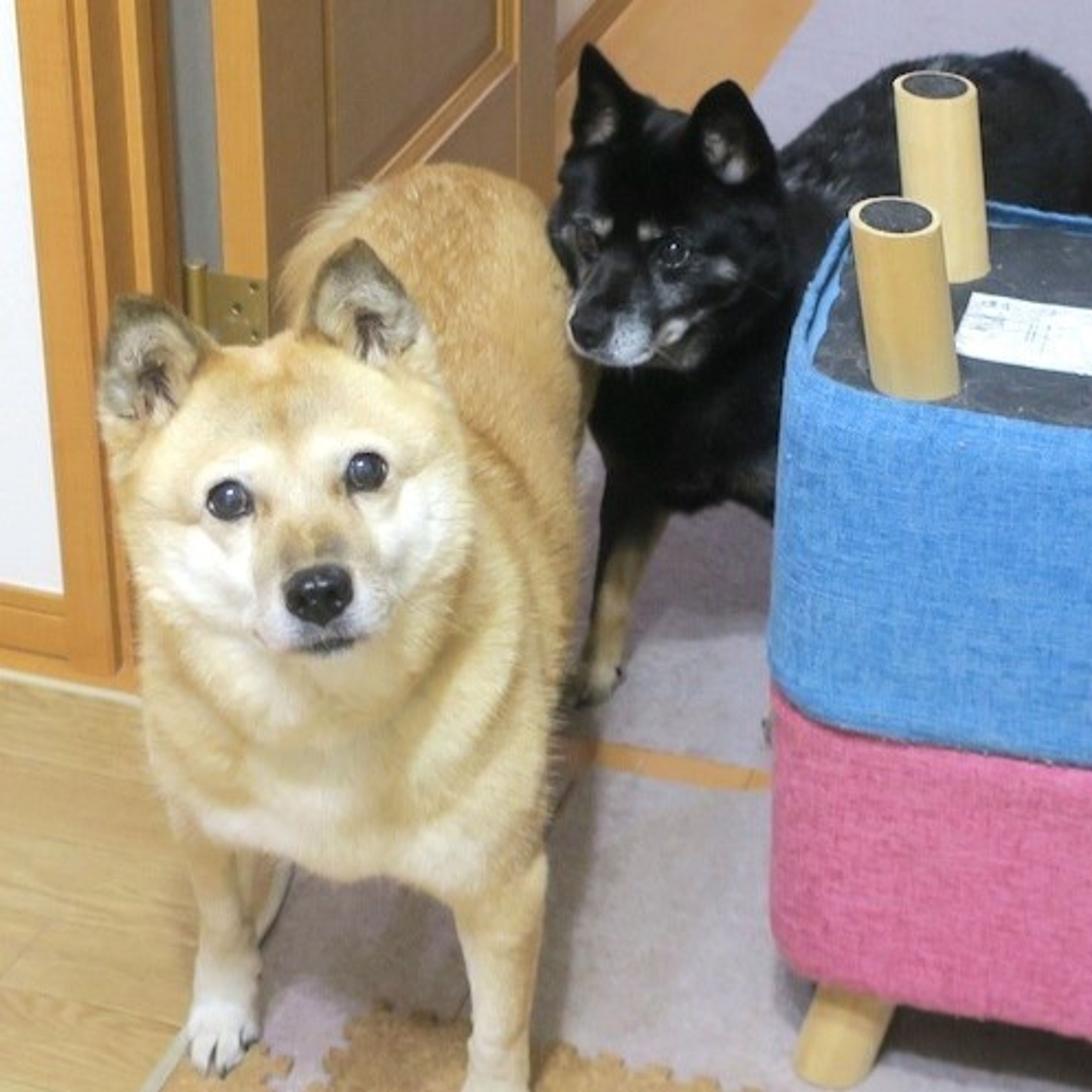 image-3