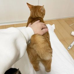 thumb-9