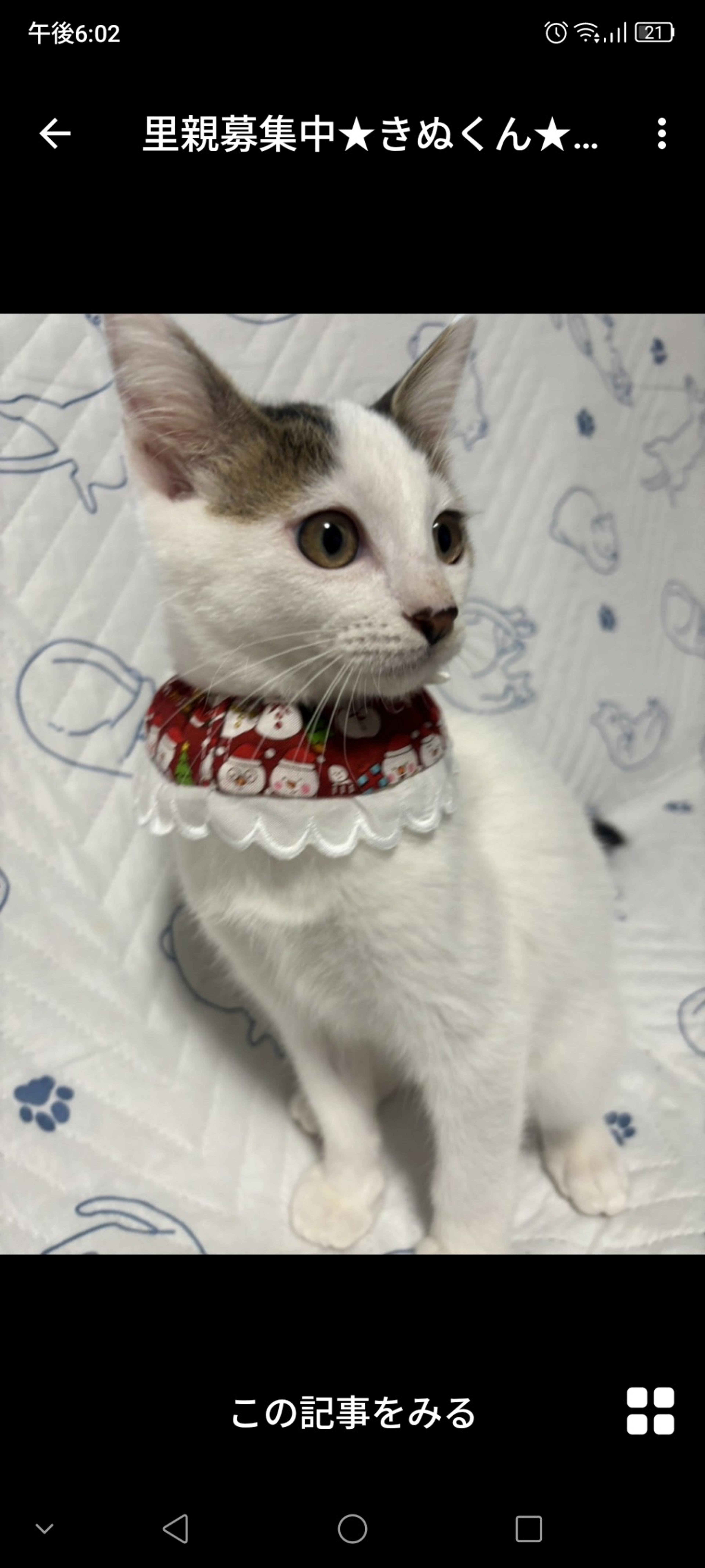 pet-image-3