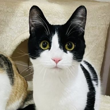 ふぃなんしぇ