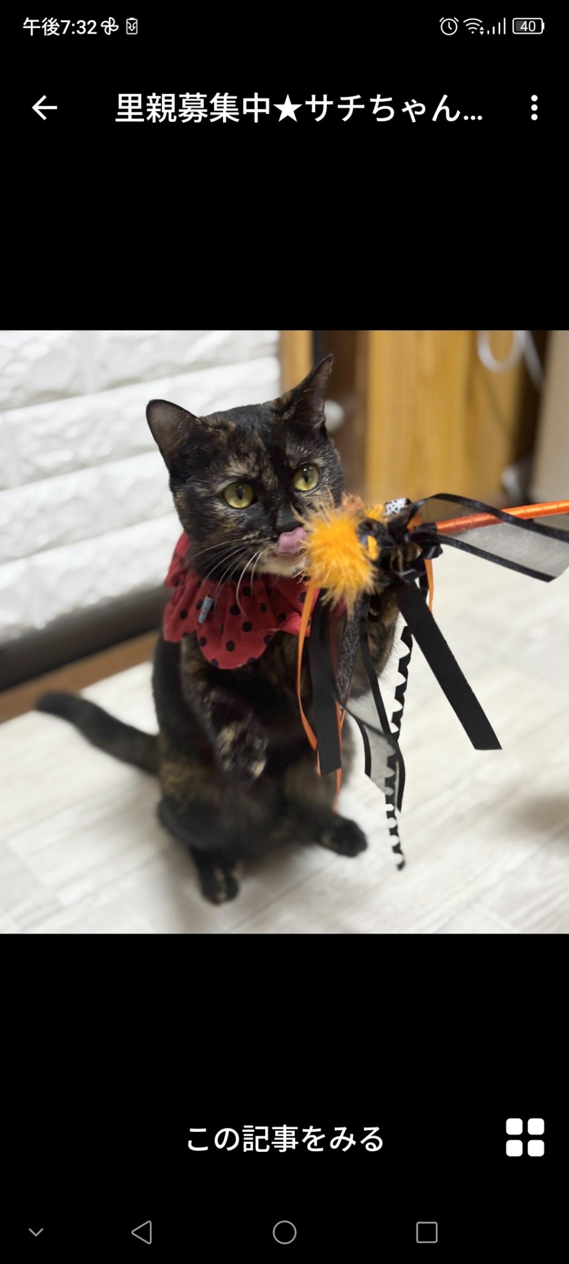 pet-image-3