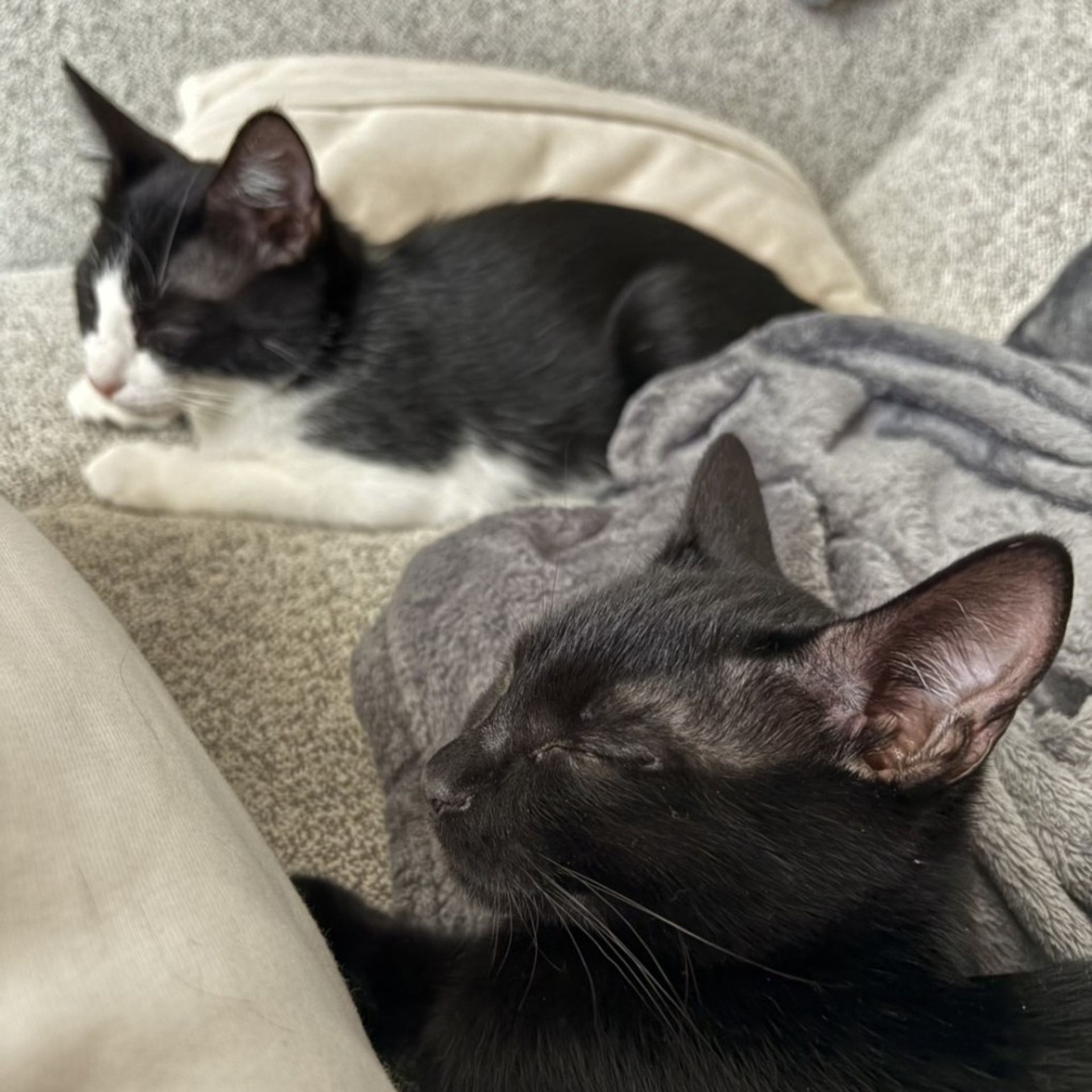 thumbnail-7