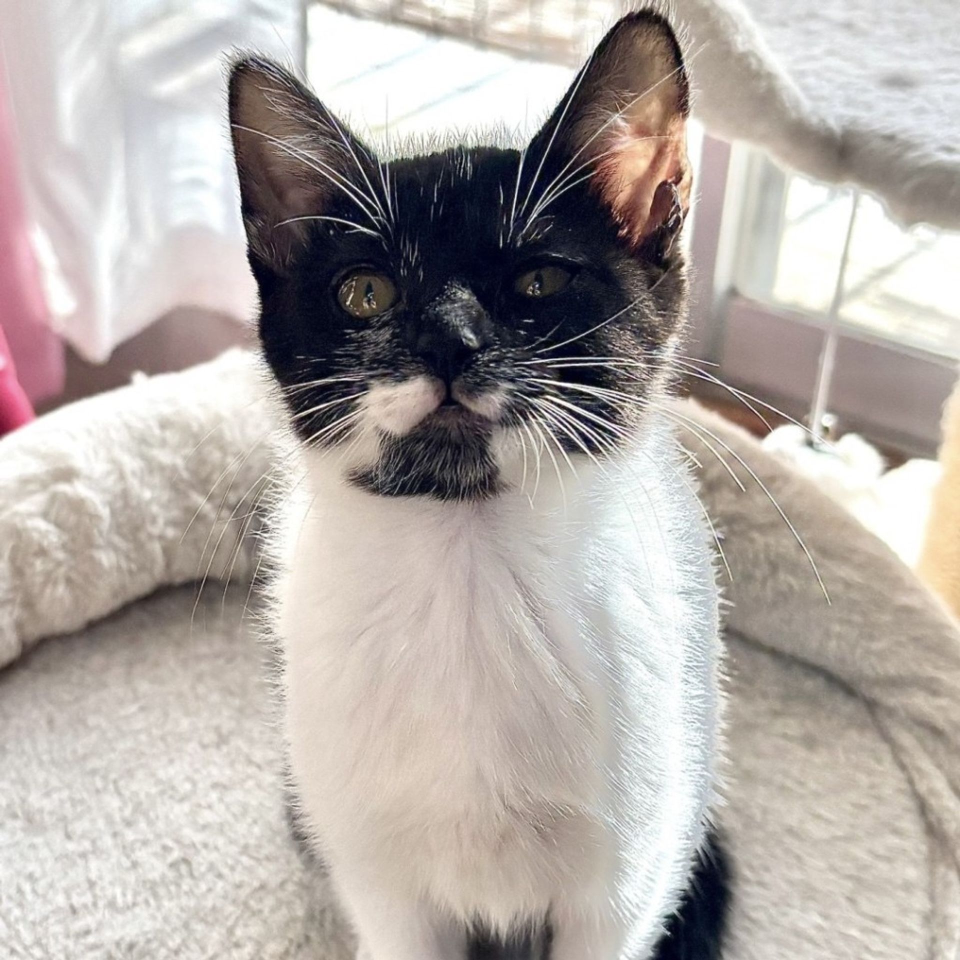 thumbnail-6