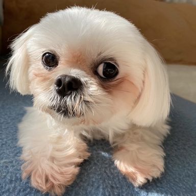マイミーちゃんの写真