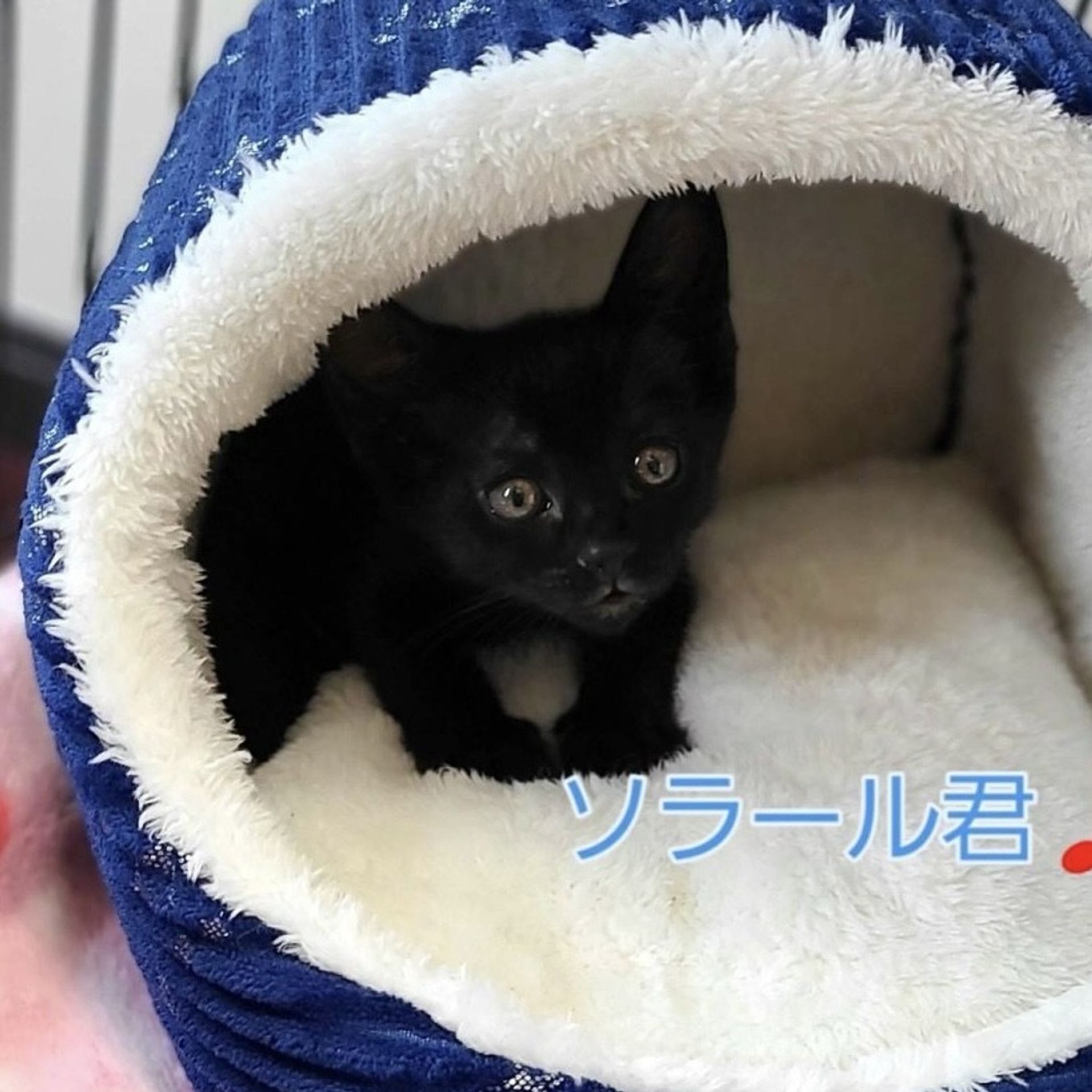 thumbnail-8