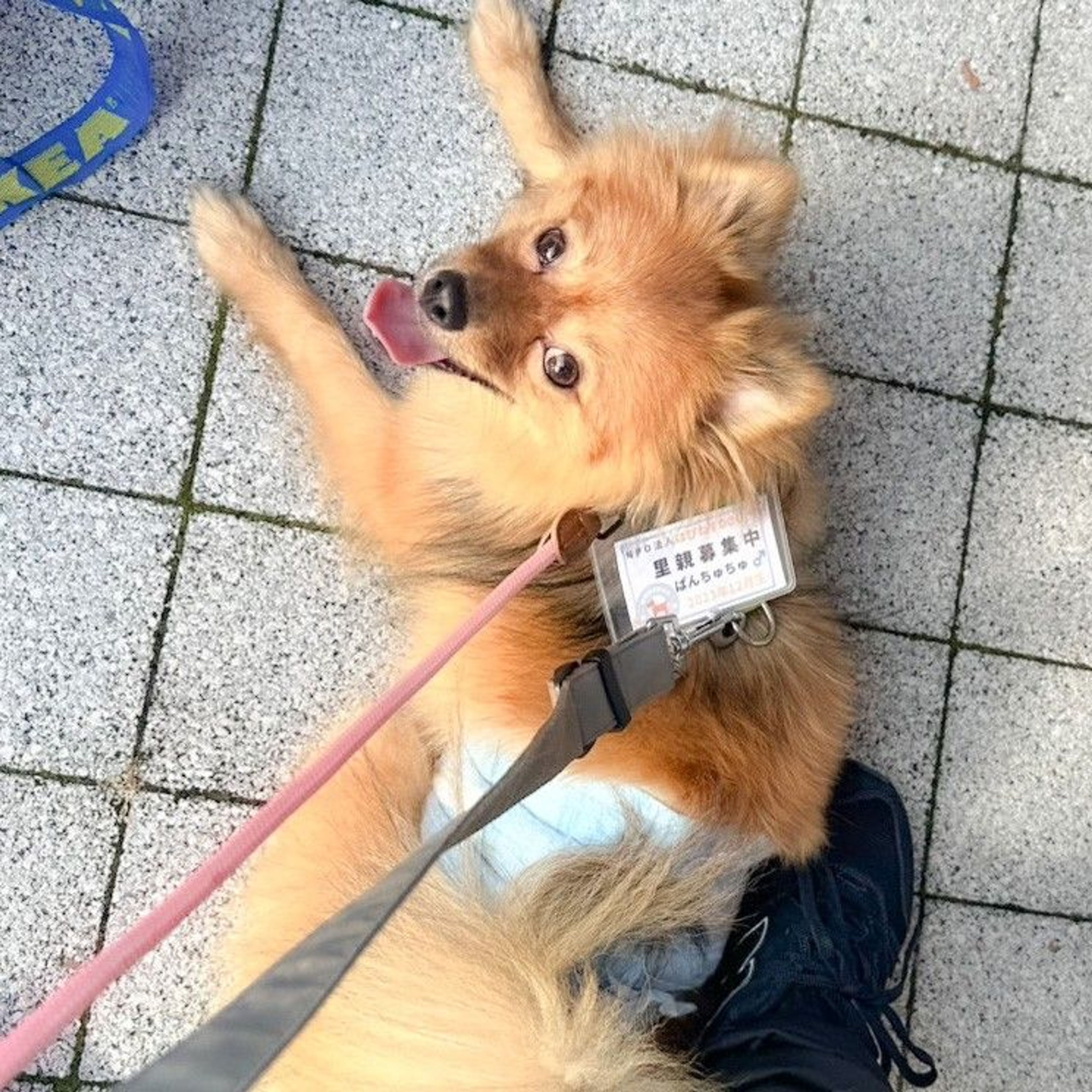 image-8