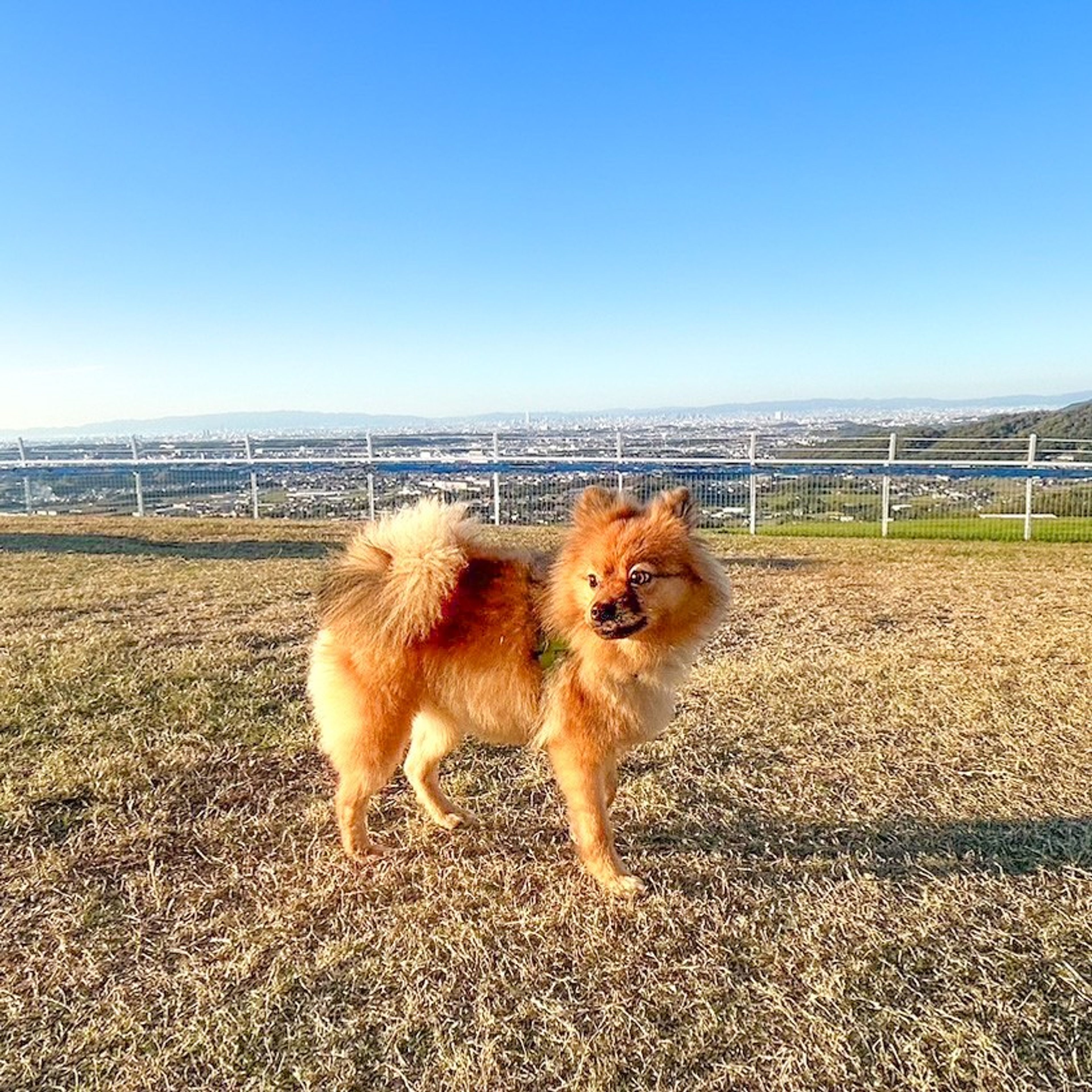 image-6