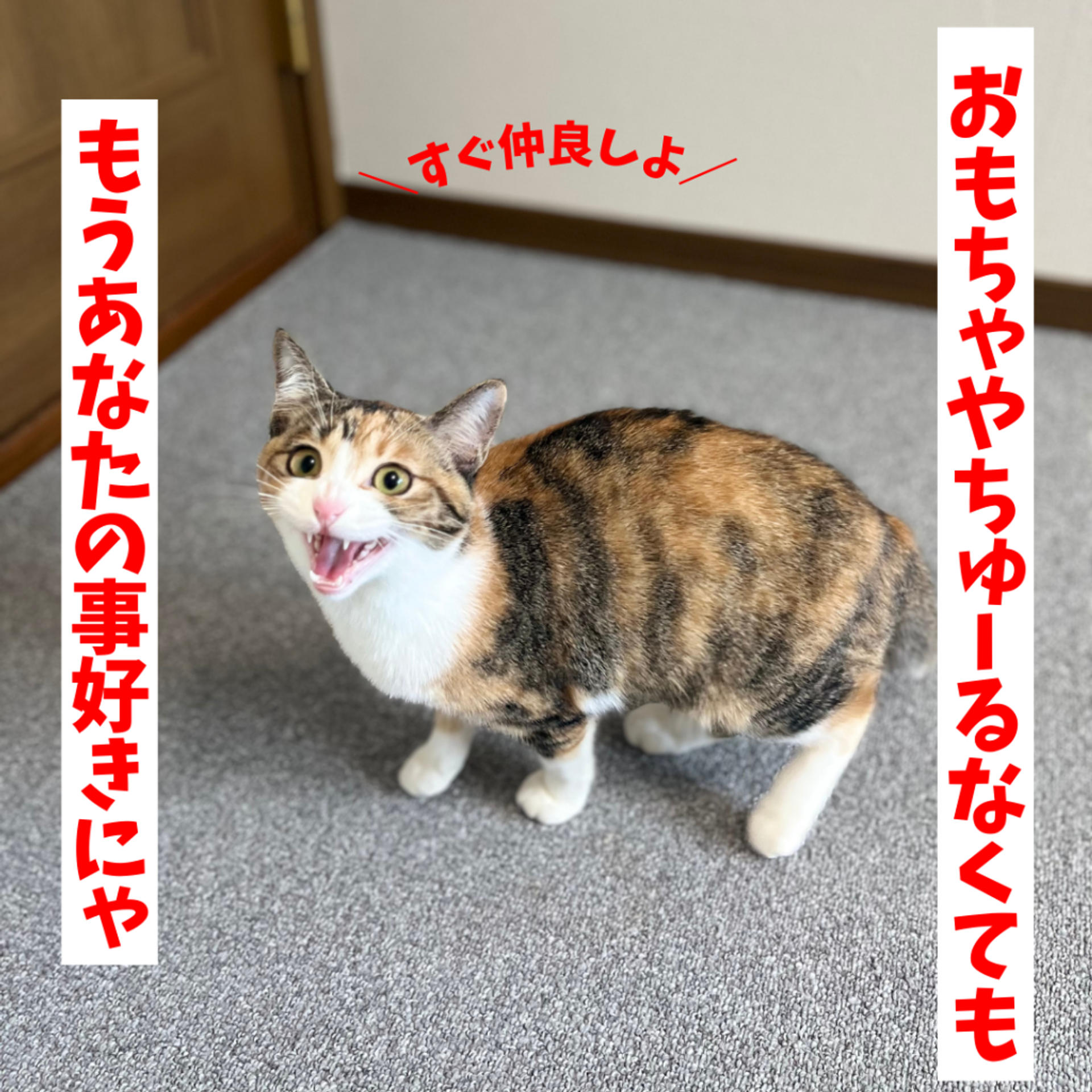 pet-image-4
