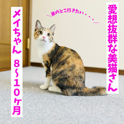 thumb-5