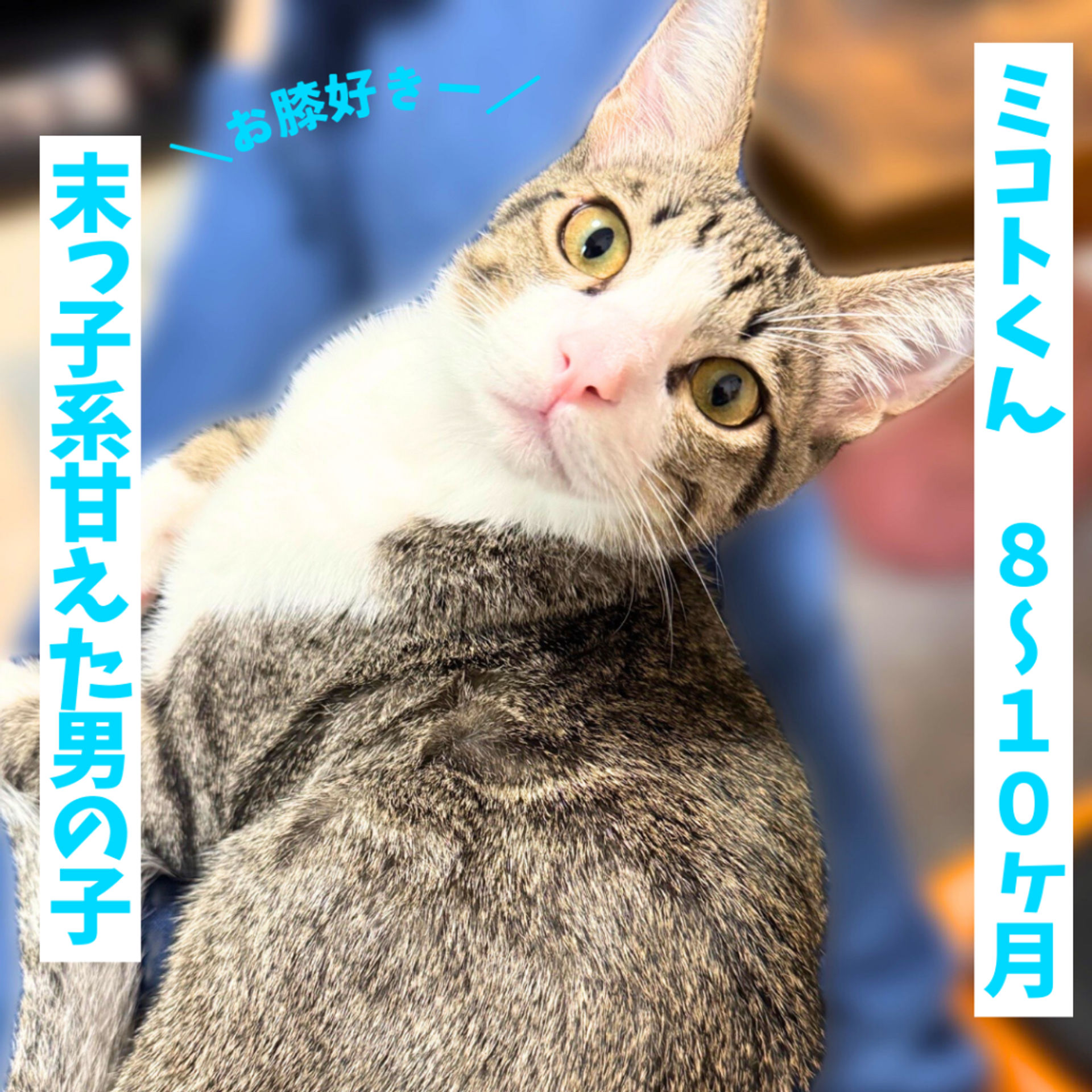 thumbnail-4
