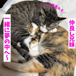 thumb-6