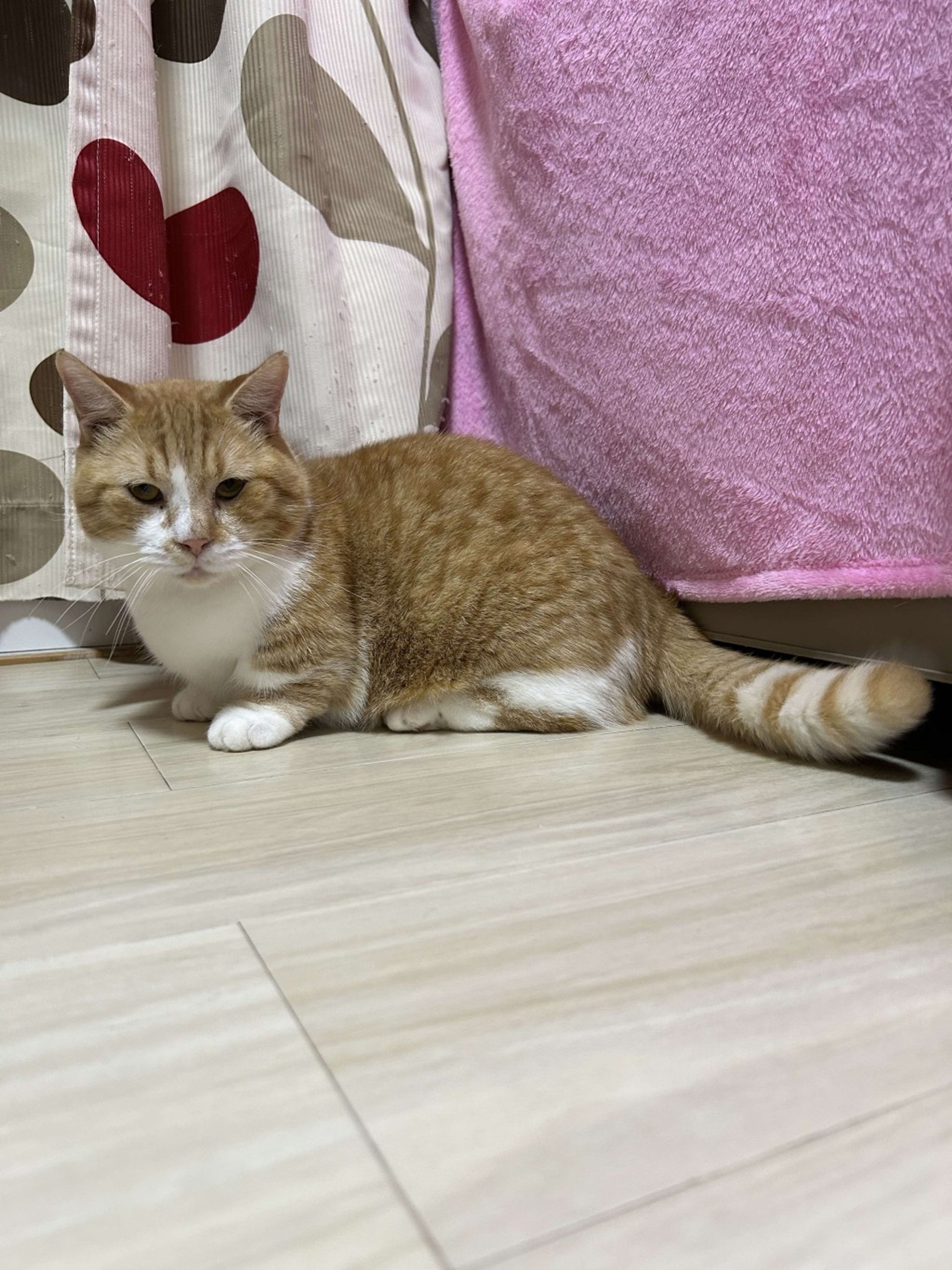 image-6